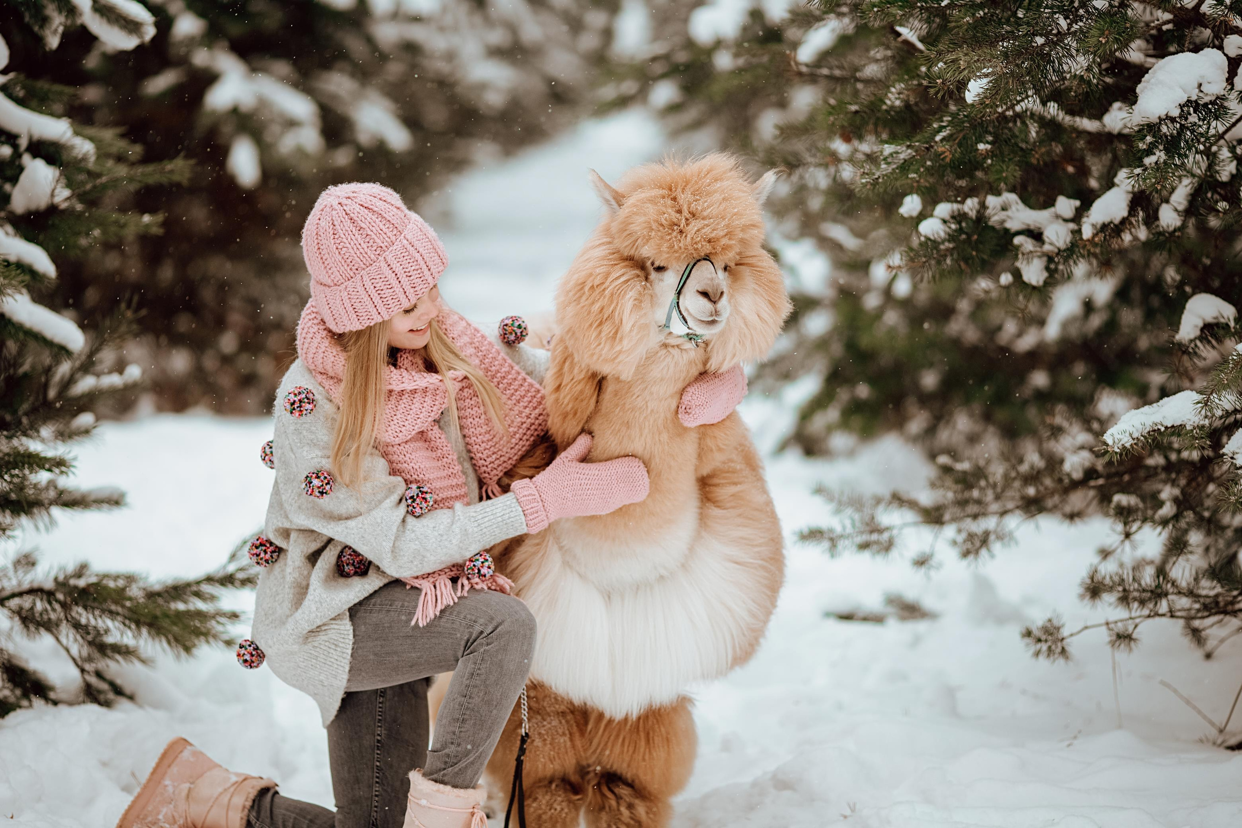 Winter wonderland. Алина Малышева, свадебный и семейный фотограф Москва