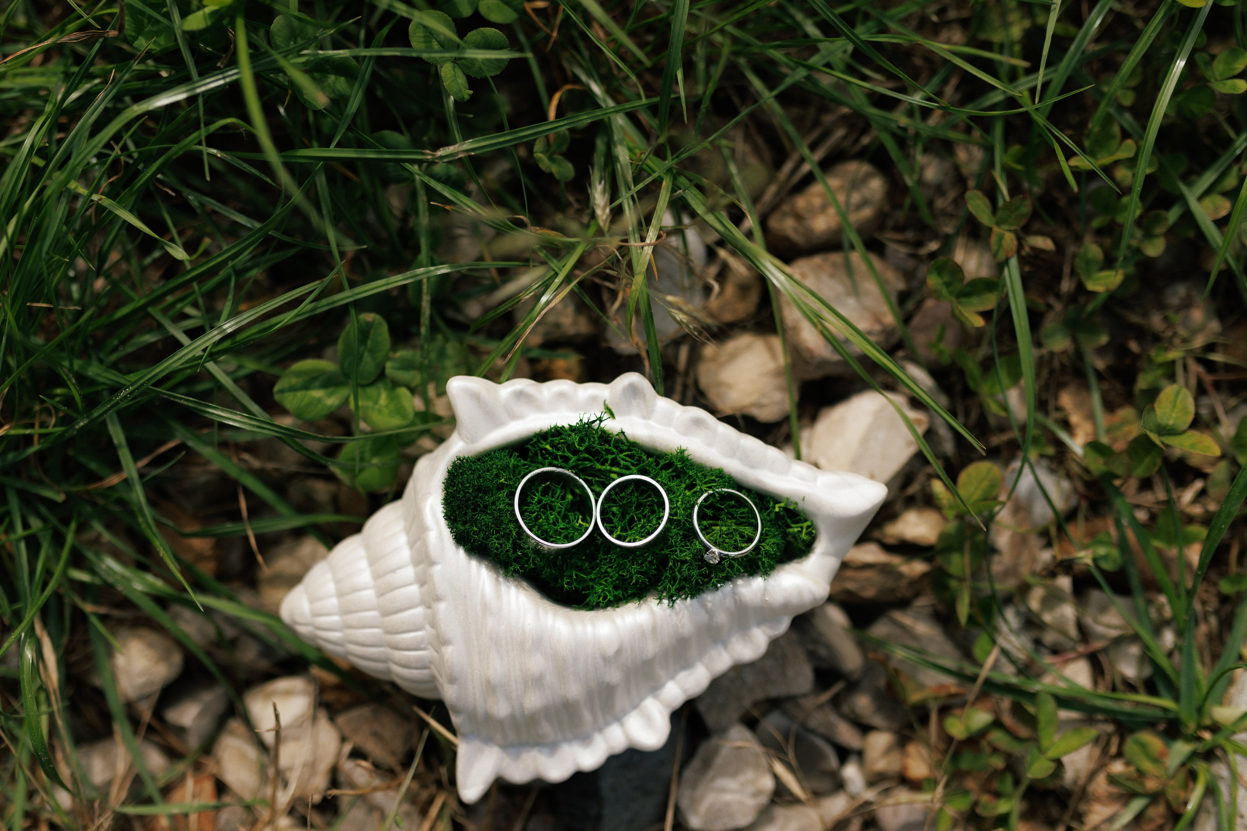 Марина & Лёша. Свадебный и семейный фотограф в Твери, Москве, Санкт-Петербурге