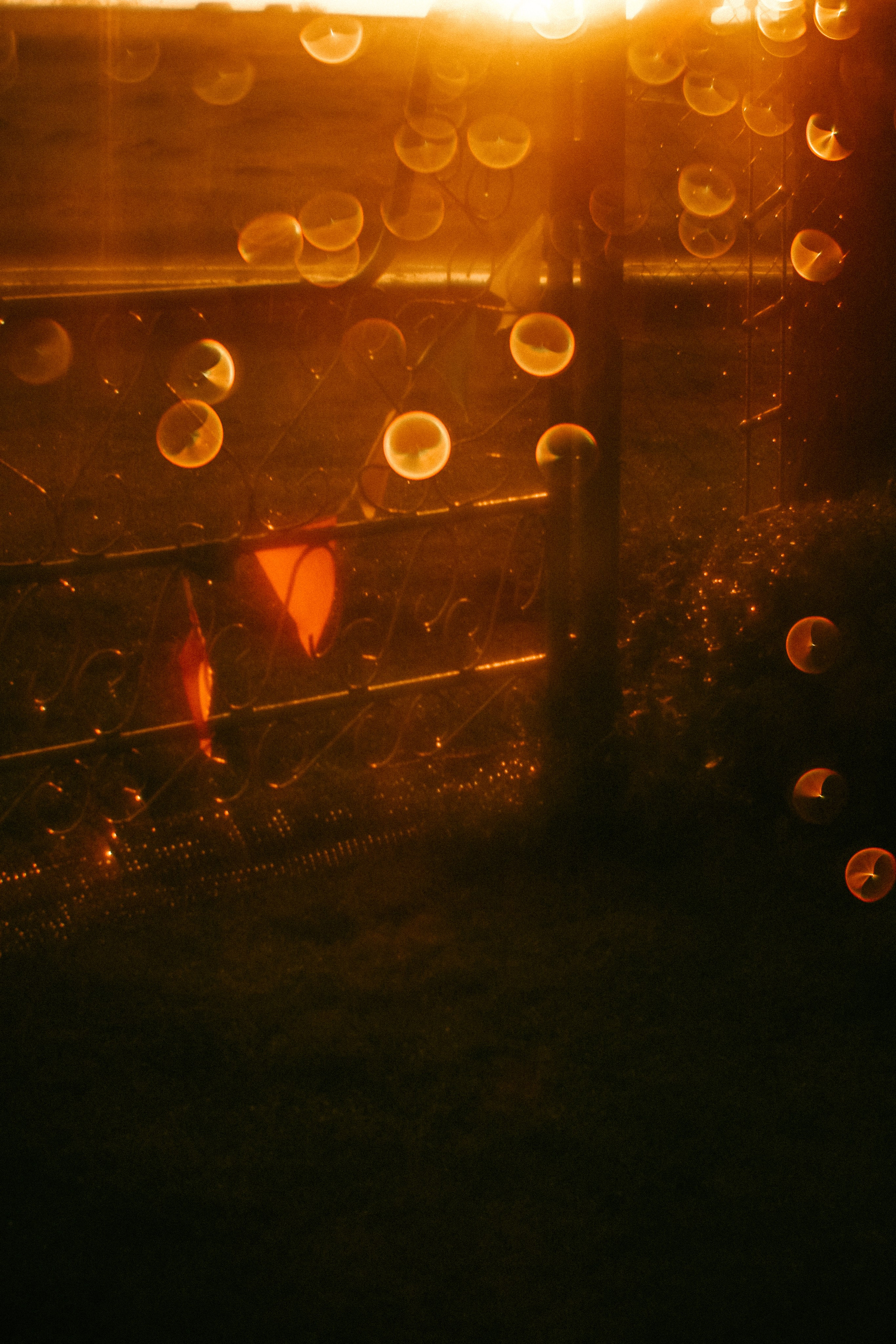 Поэзия повседневности. Семейный фотограф в Москве Марина Аргунова