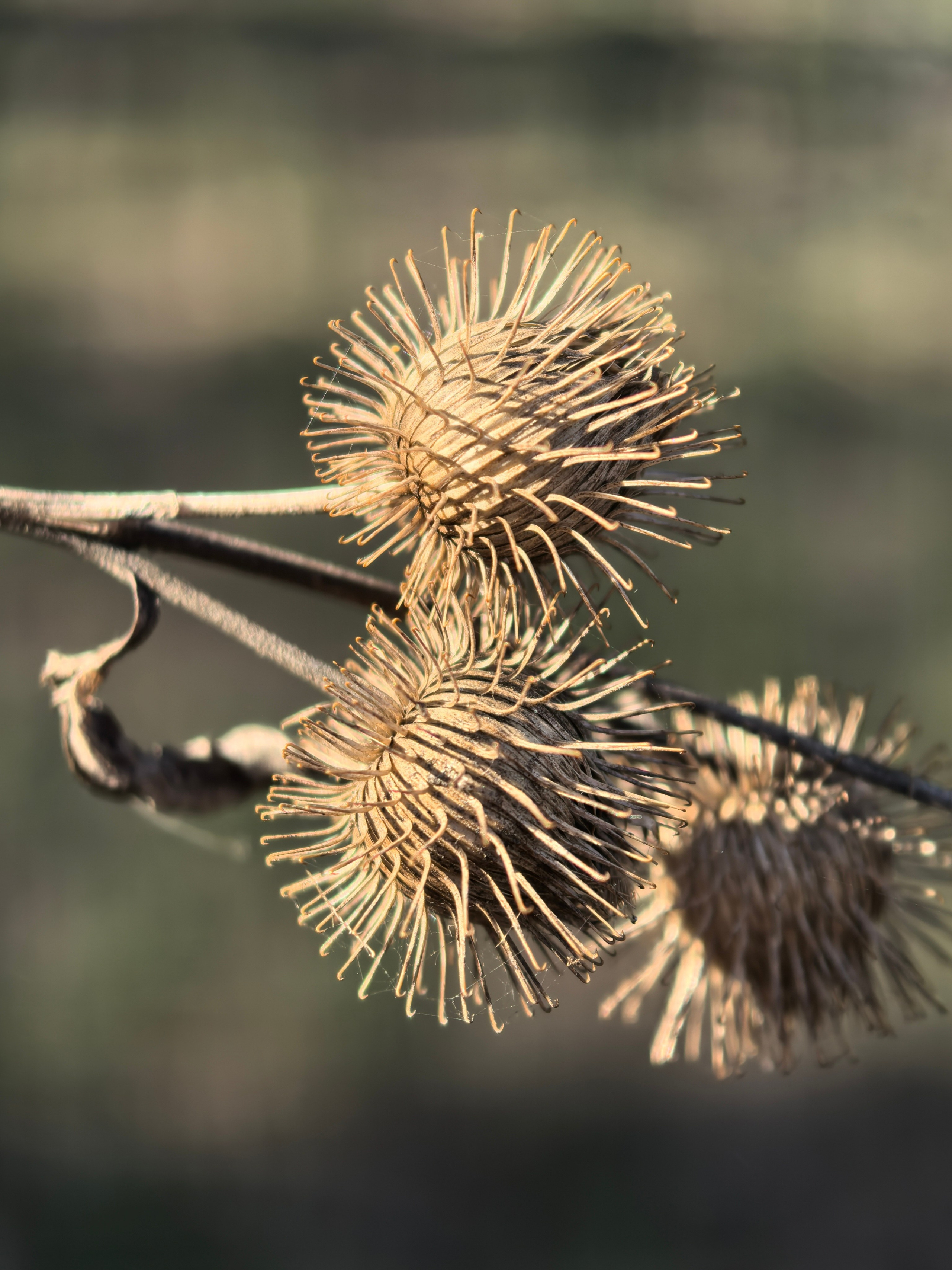 ПочтиМАКРО. Школьные выпускные альбомы в Москве Марина Николаева