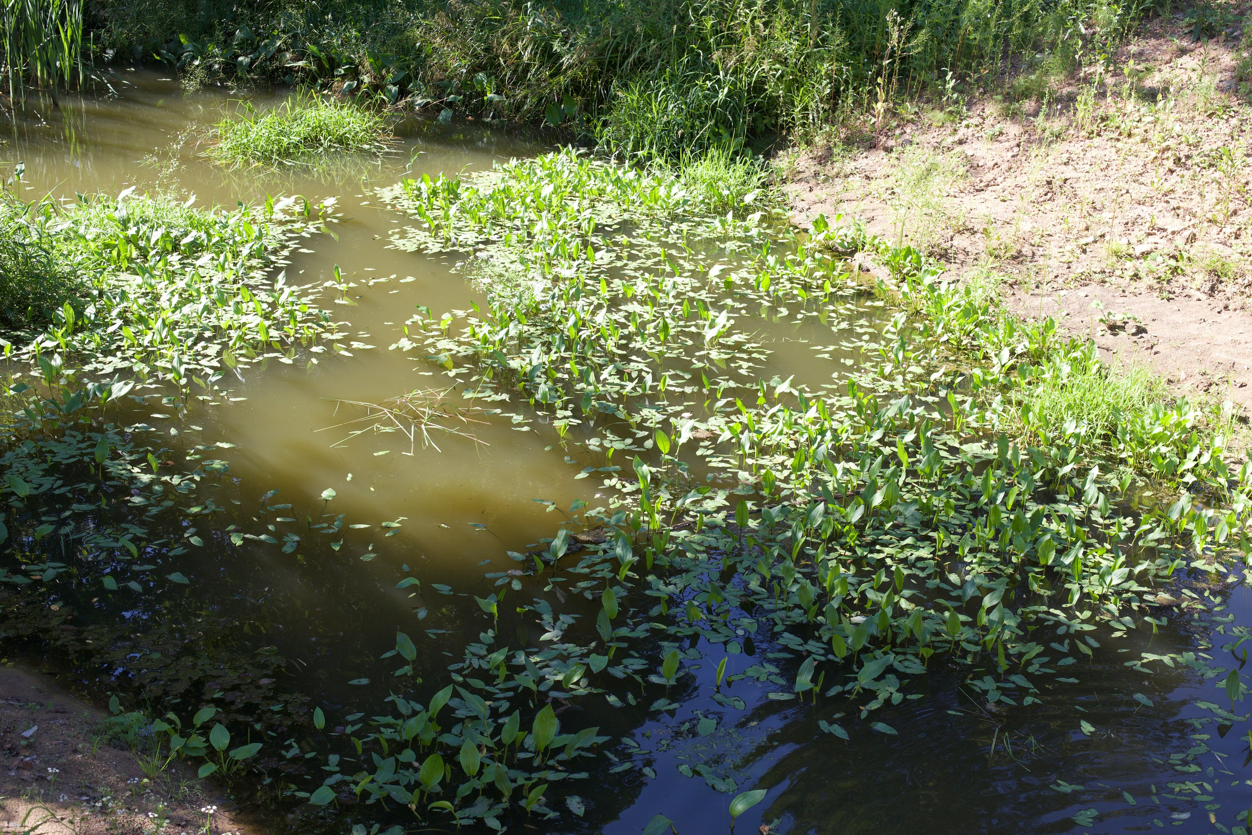Ново-Иерусалимкий монастырь. Школьные выпускные альбомы в Москве Марина Николаева
