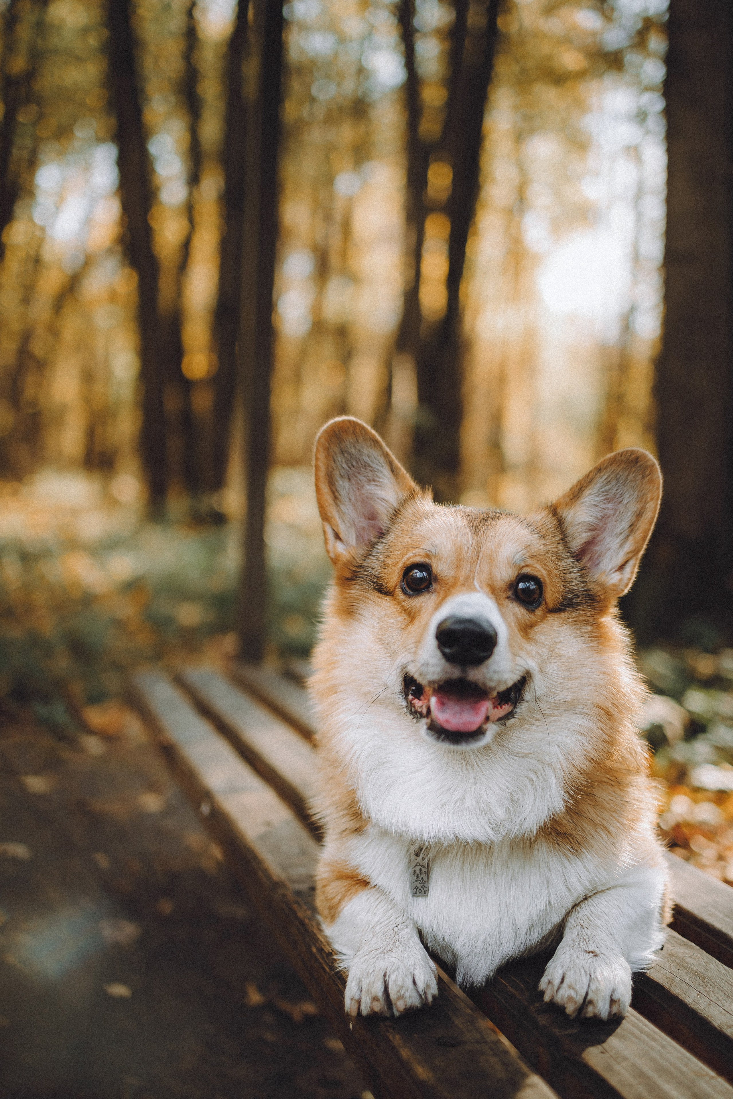 Карина, Даня и Аркаша
