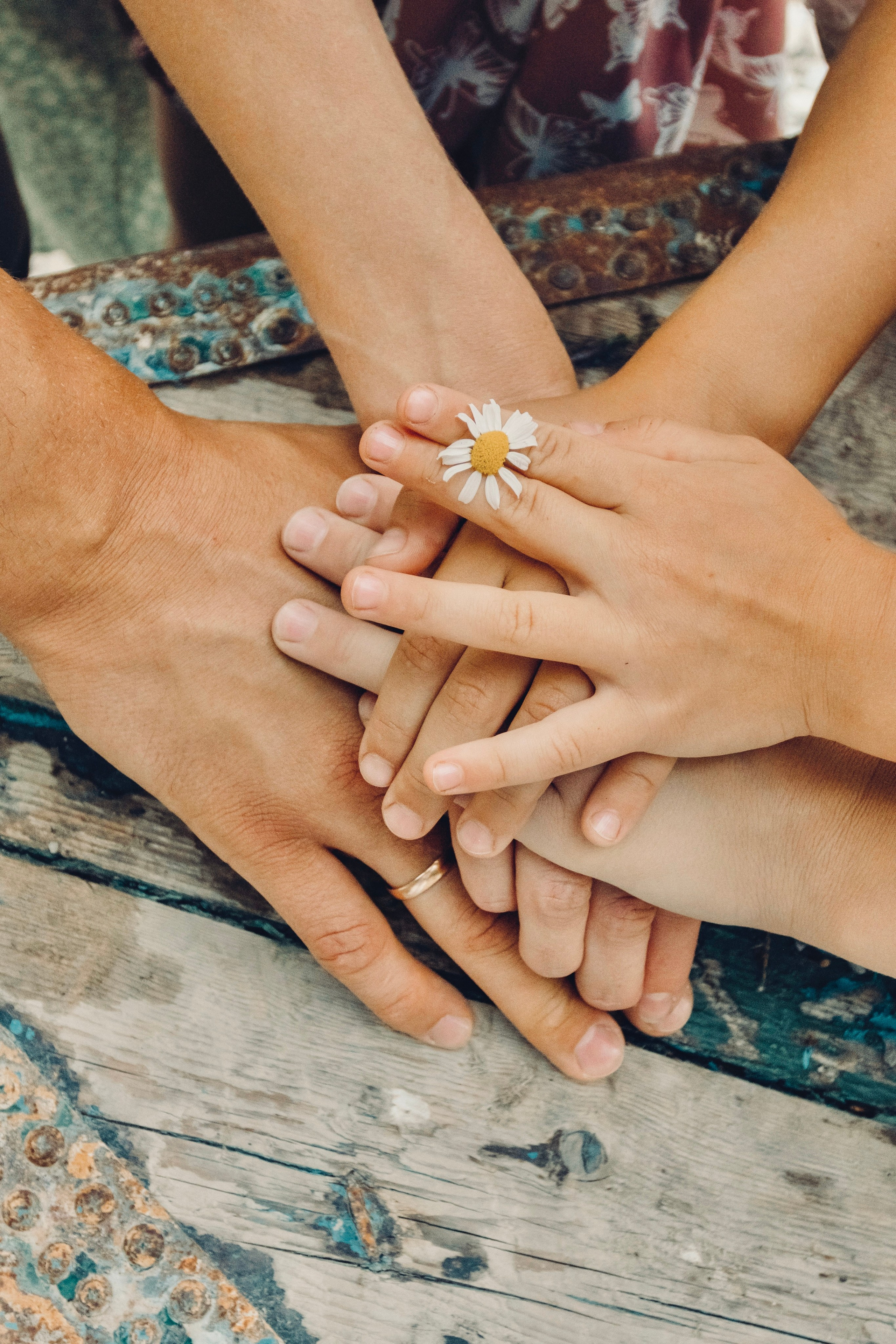 Семья / События. Фотограф-путешественник на побережье Краснодарского края и в Сибири!