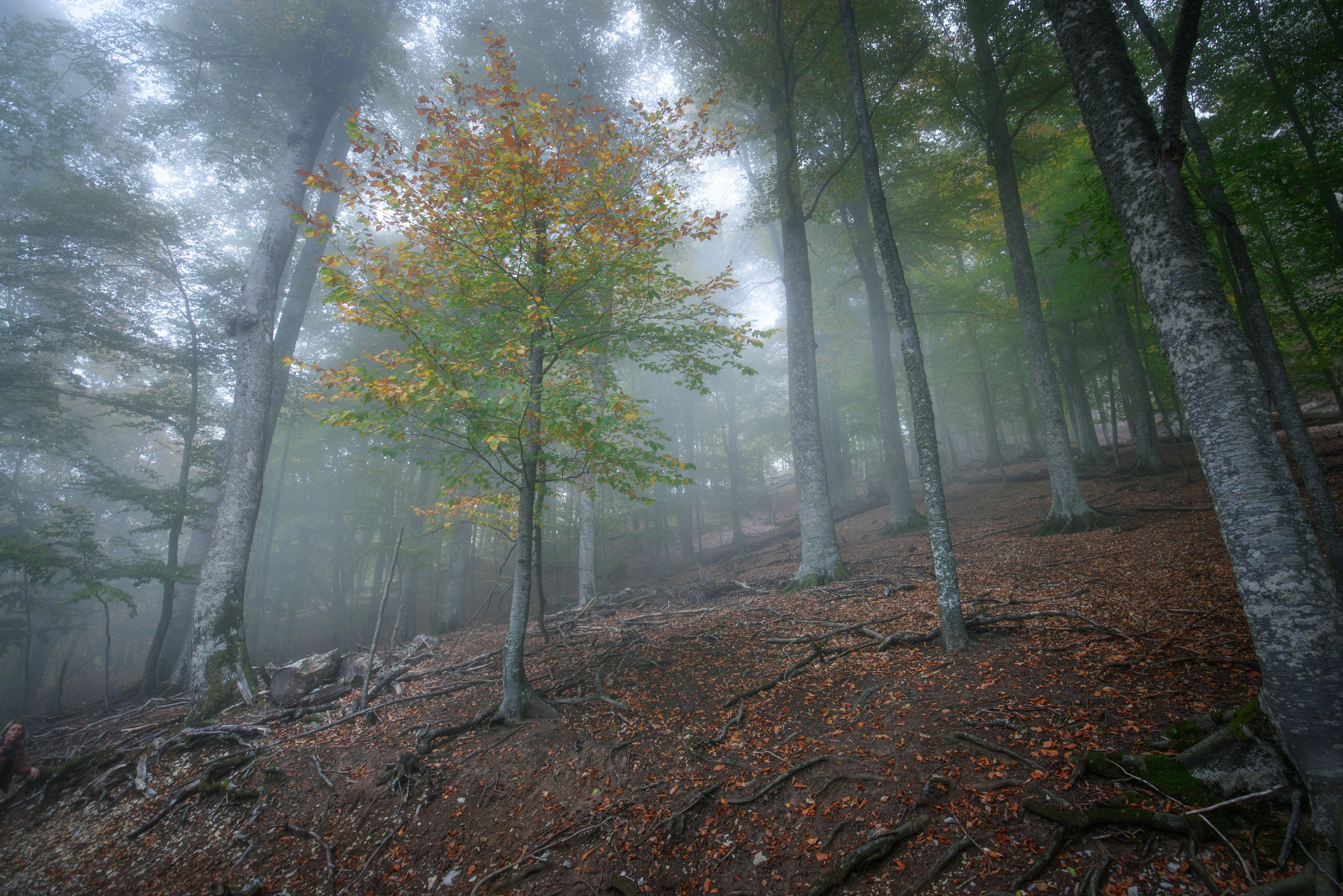 Фотограф Антон Денисенко: Портрет, Документалистика, Пейзаж. Фотограф Антон Денисенко: Портрет, Документалистика, Пейзаж. Москва