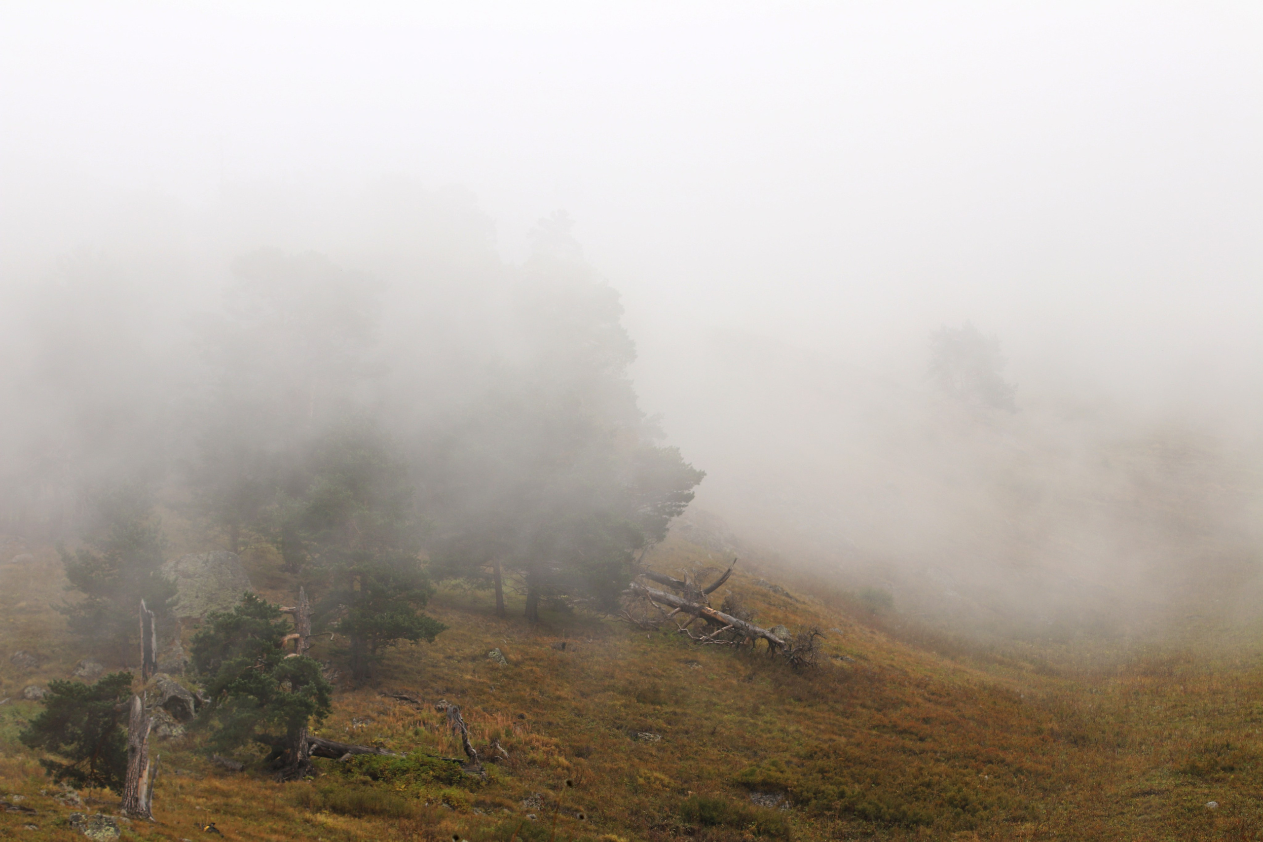 Приэльбрусье. Сентябрь 2024. Путешественник-фотограф из Санкт-Петербурга Татьяна Свистулина