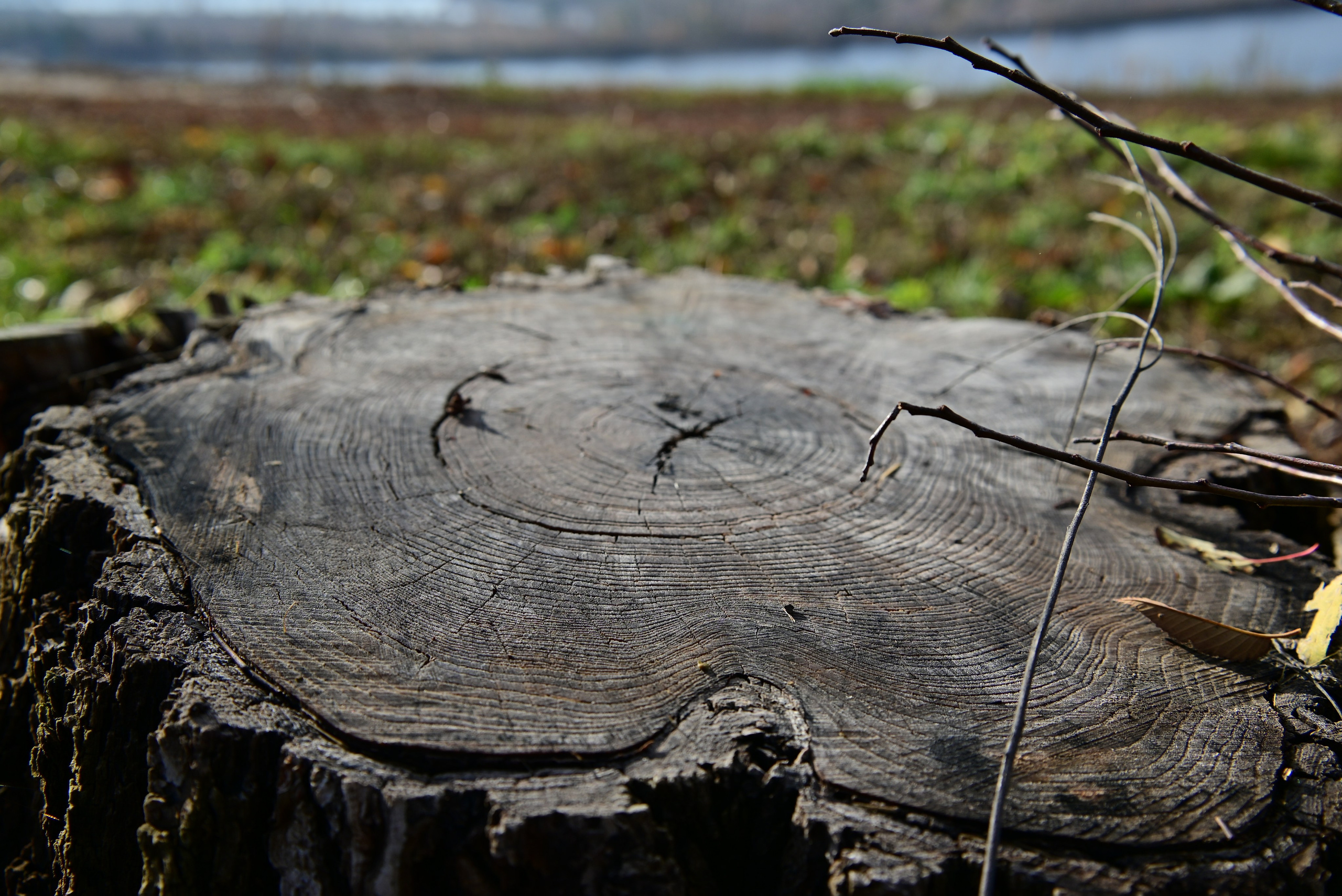 Октябрь над Волгой. Фотосъёмка праздничных мероприятий, портретная съёмка в Самаре, Пётр Бубняев
