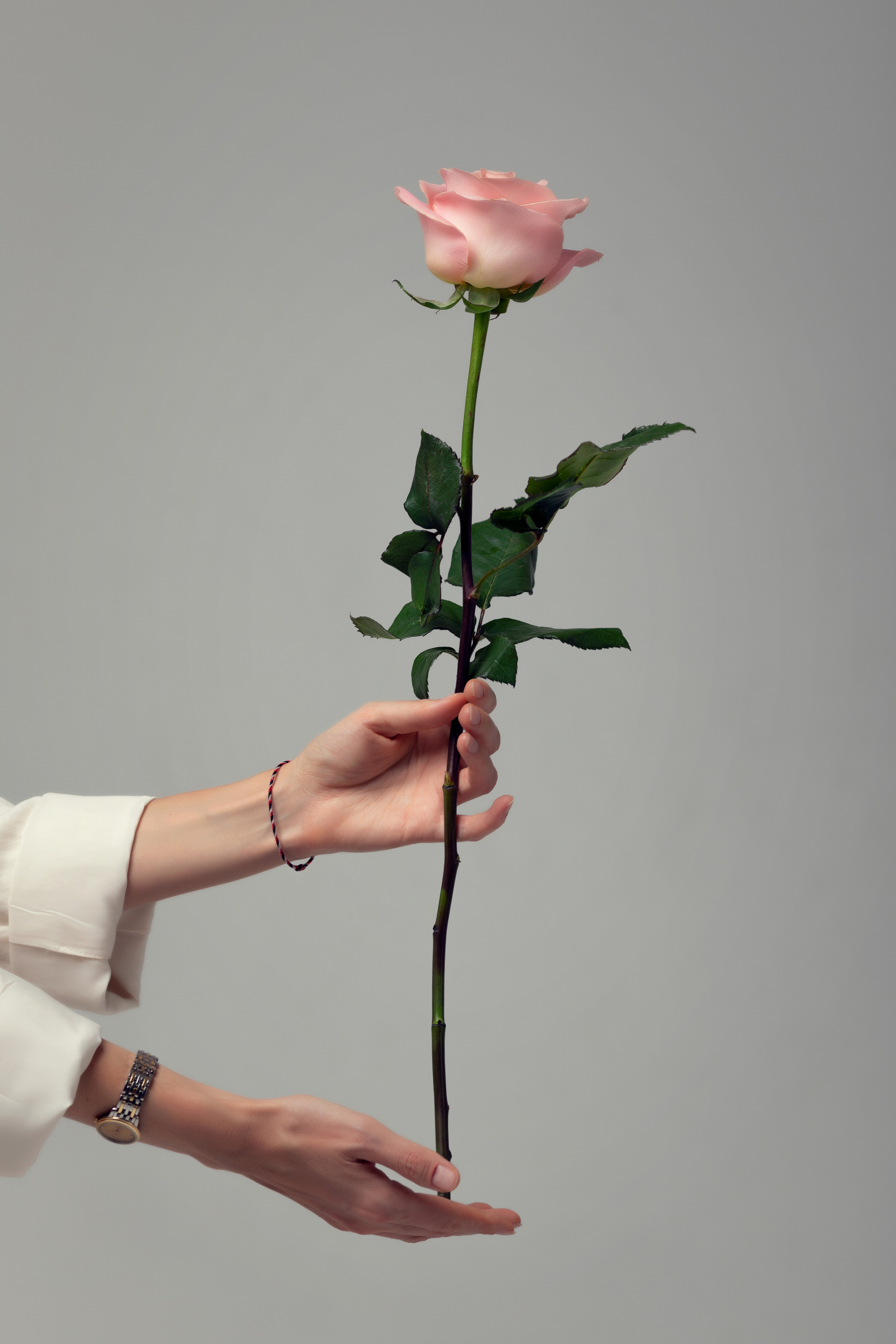 Надежда Сок. Рэйки. ФотоХудожник Харитонова Ирина г. Санкт-Петербург