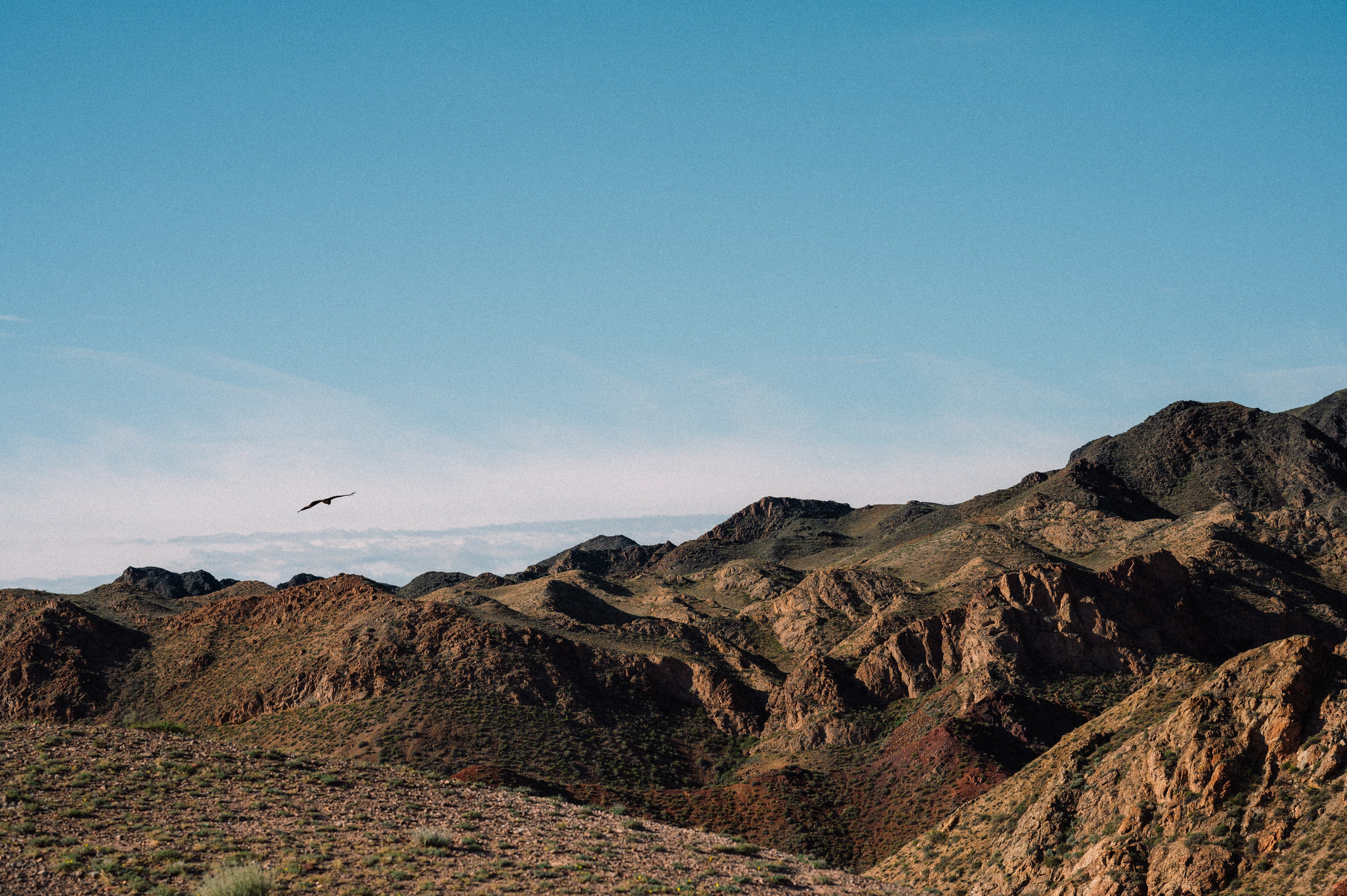 Чарын-Кольсай: лето 2024. Фотограф в Алматы — Дарья Фёдорова