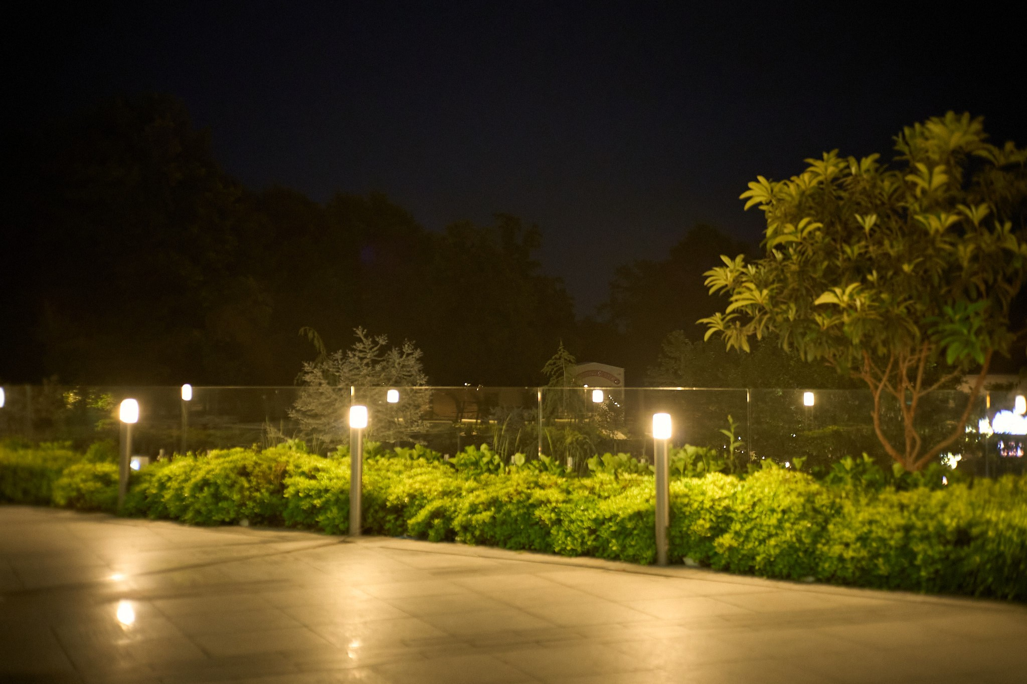 Баку, май 2025. Фотограф, Римма Невинская