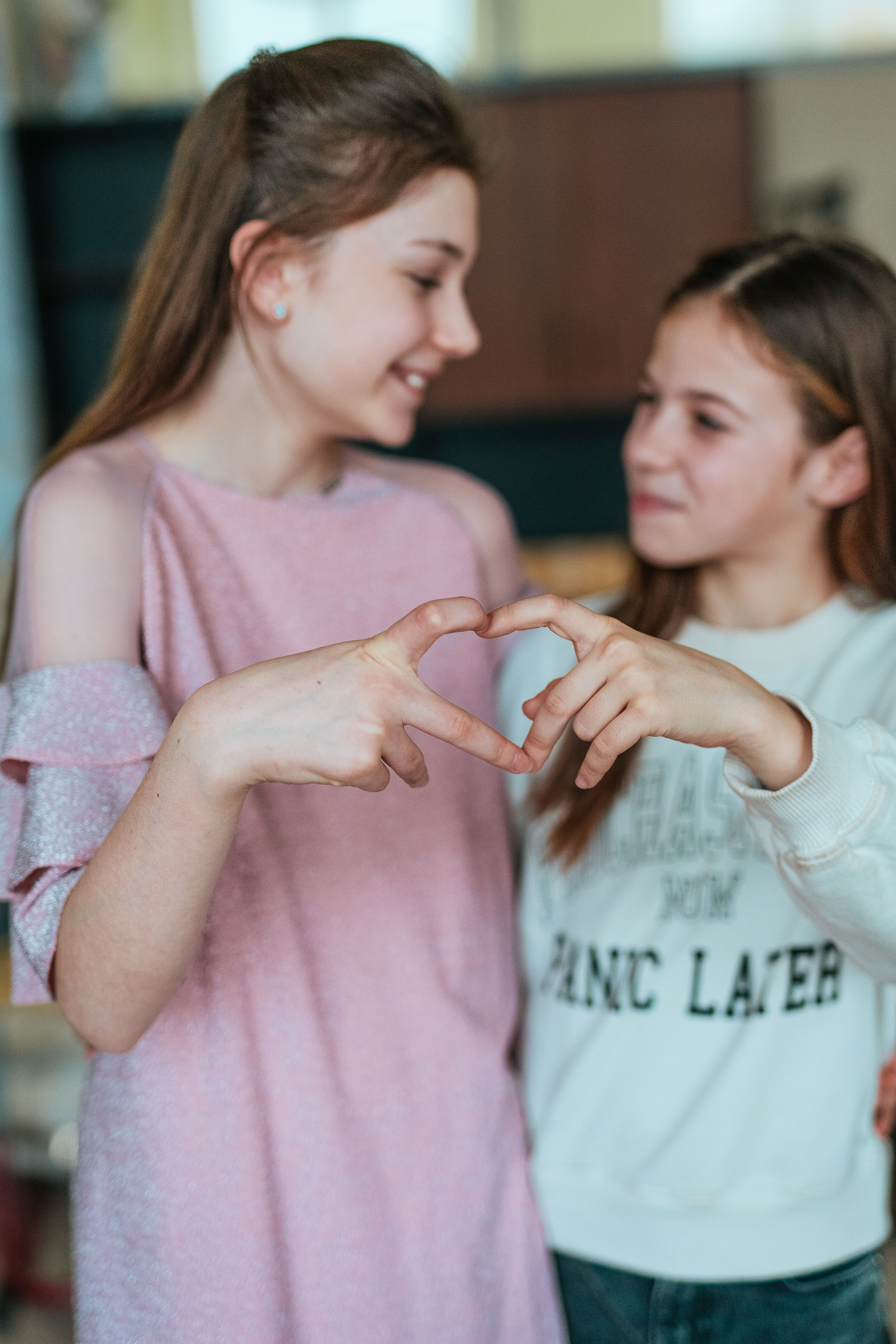 6 класс. Школьные альбомы и альбомы для детского сада. Юлия Осипова. Москва