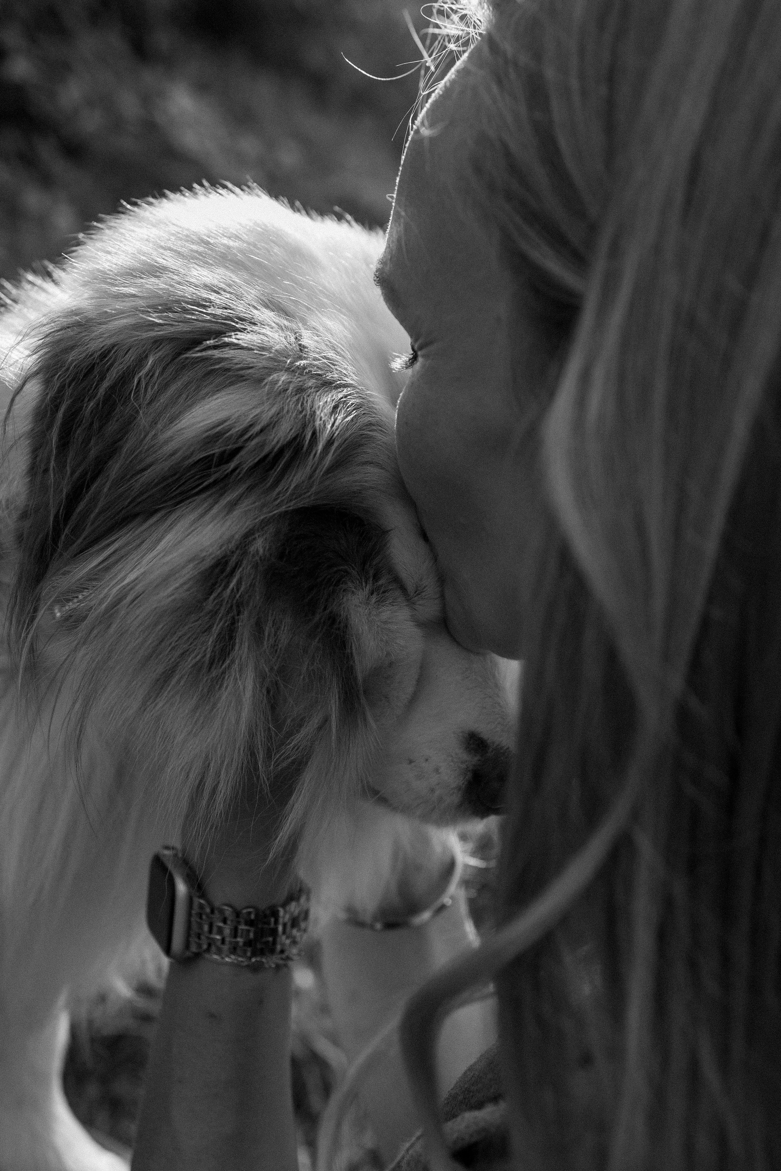 Маша и Эклер. Фотограф — Анималист | Санкт-Петербург