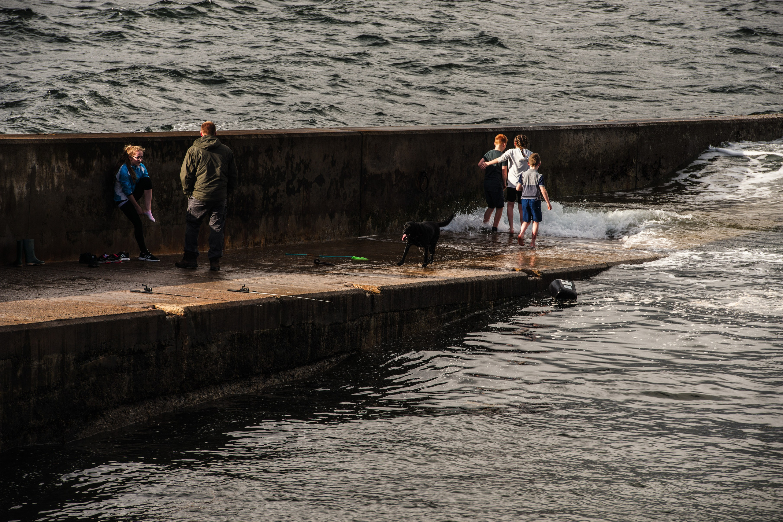 Взрослые, дети и черный пес на волнорезе во время отлива на берегу океана в Шотландии.