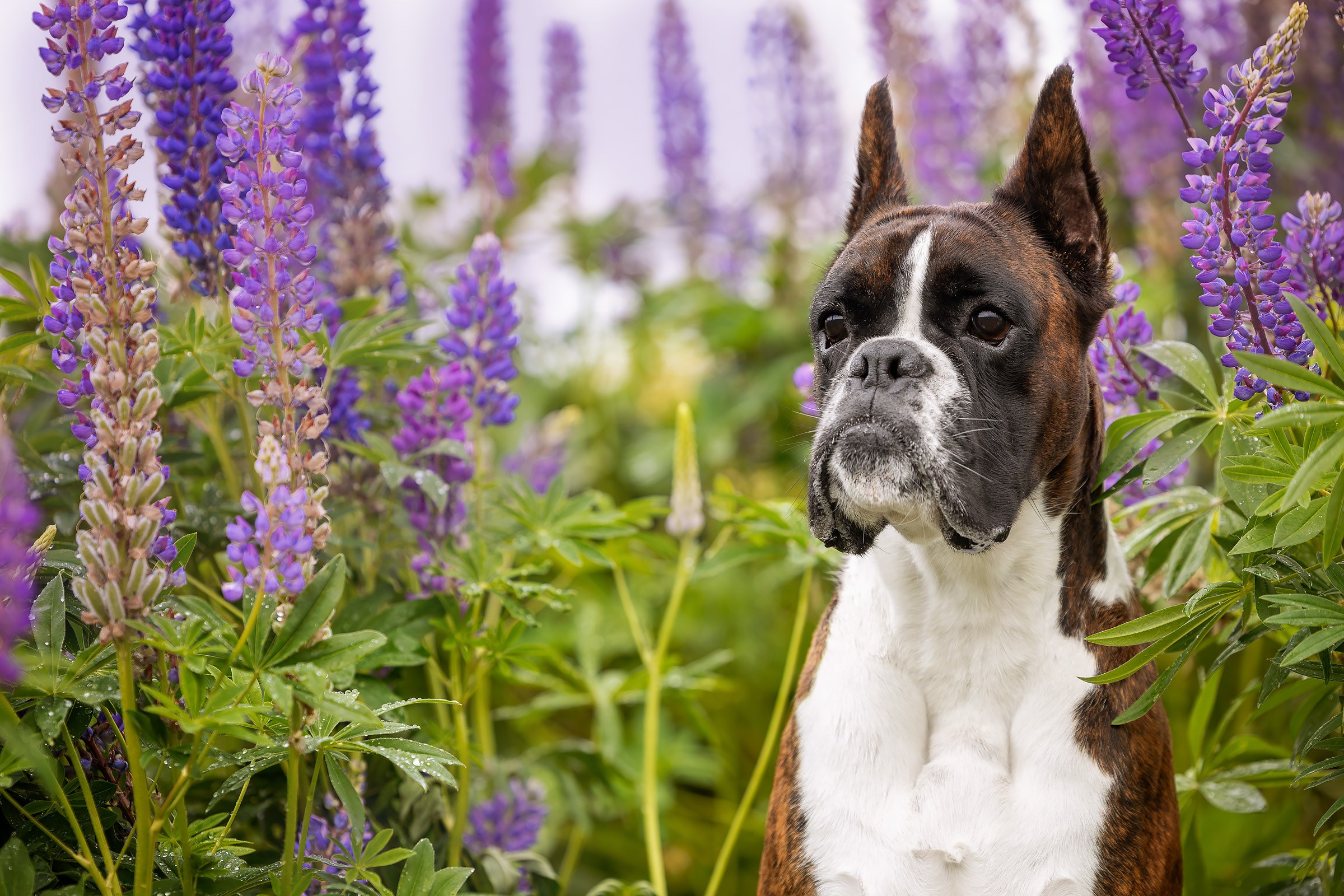 7–8 июня 2025, Выставка РОССИЯ, г. Москва. Htykk_photo