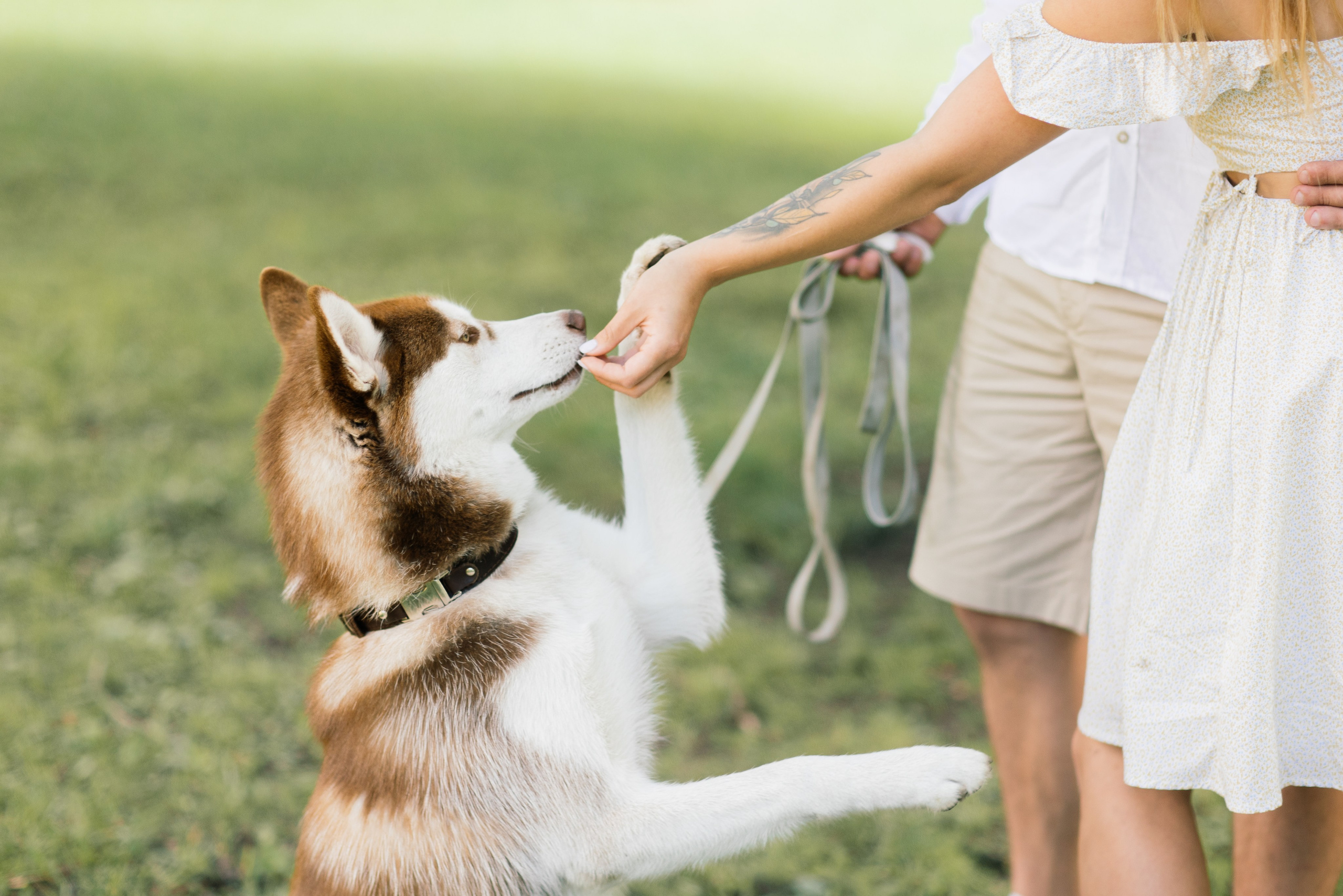 В парке Победы. Семейный фотограф Толстикова Кристина
