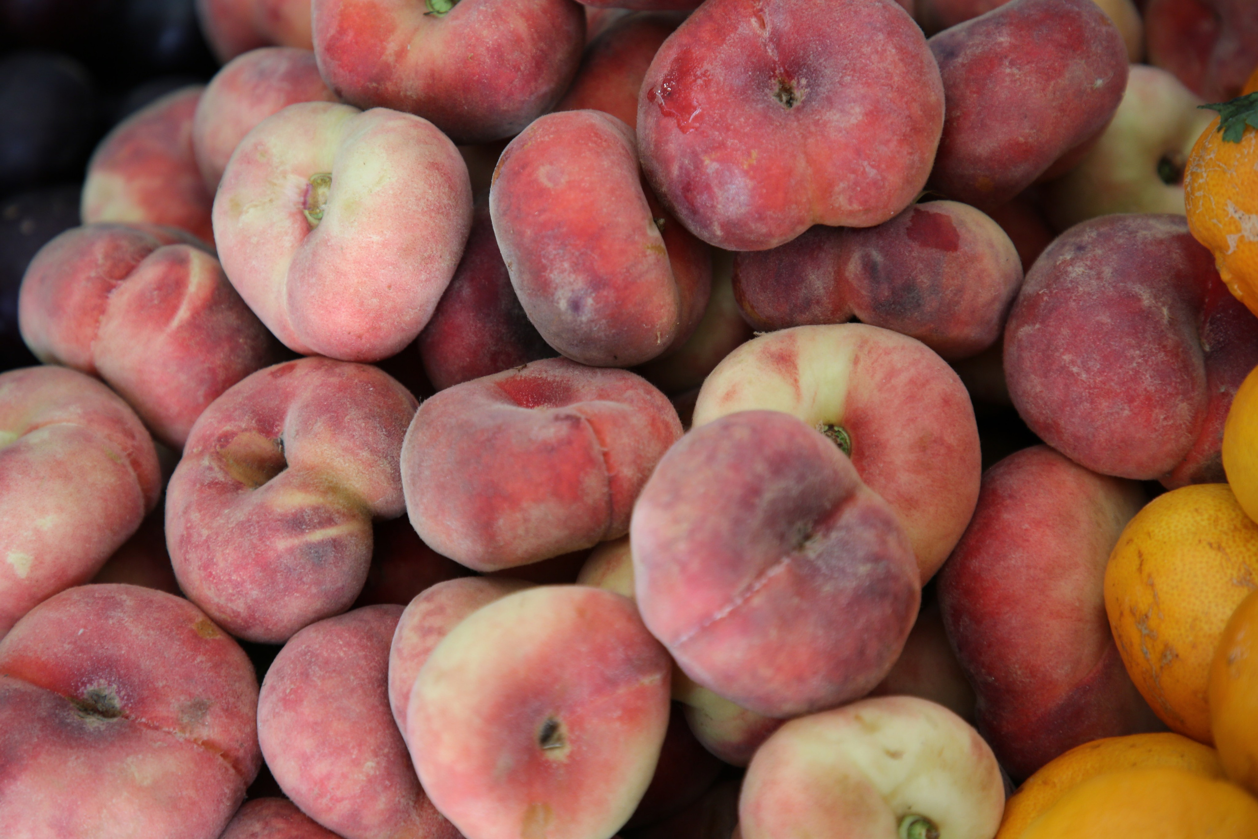 Lisbon, Portugal. Andrey Filippov Photographer