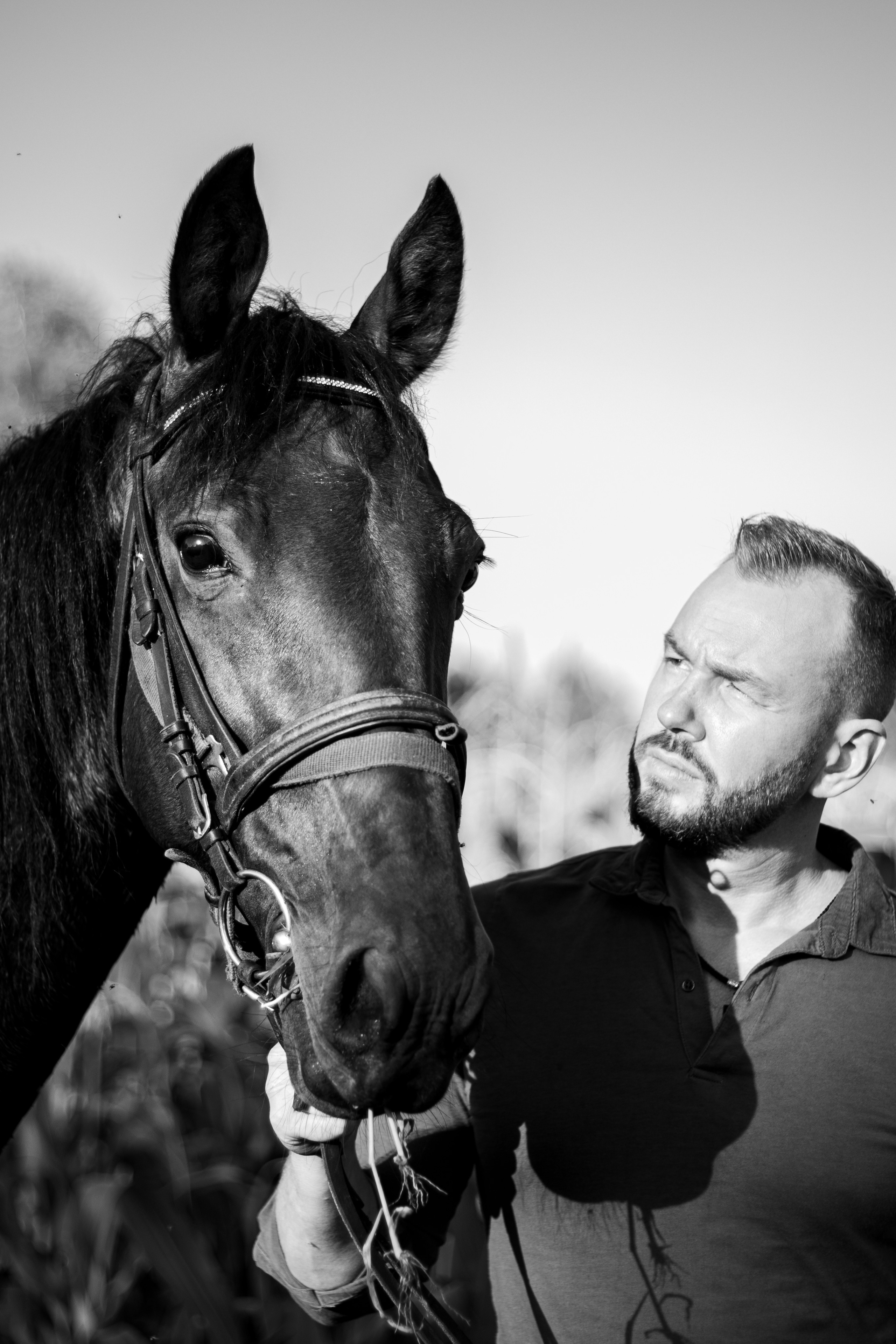 Александр Борматов и Пегас. Фотосессии с лошадьми в Москве, Новосибирске