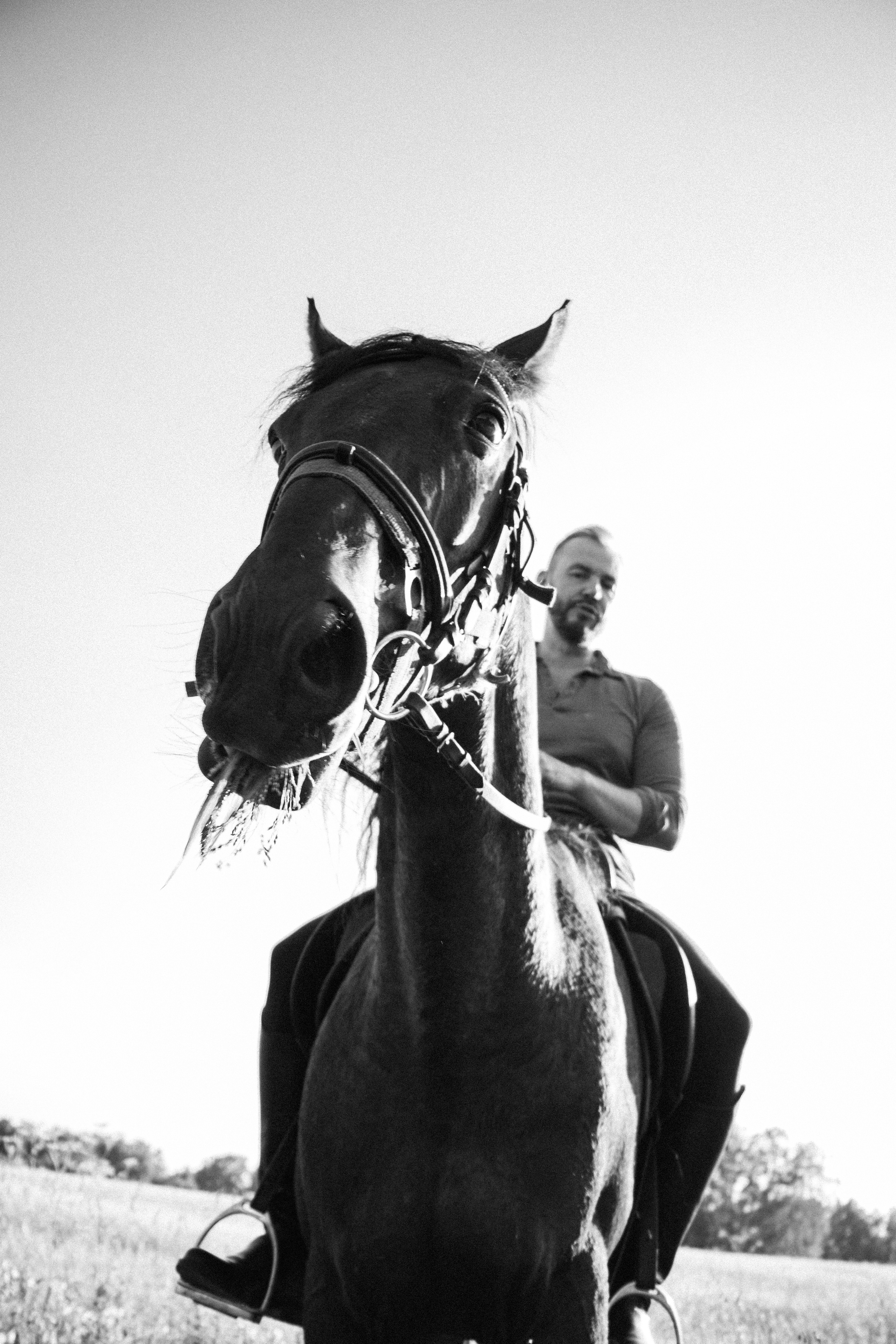 Александр Борматов и Пегас. Фотосессии с лошадьми в Москве, Новосибирске
