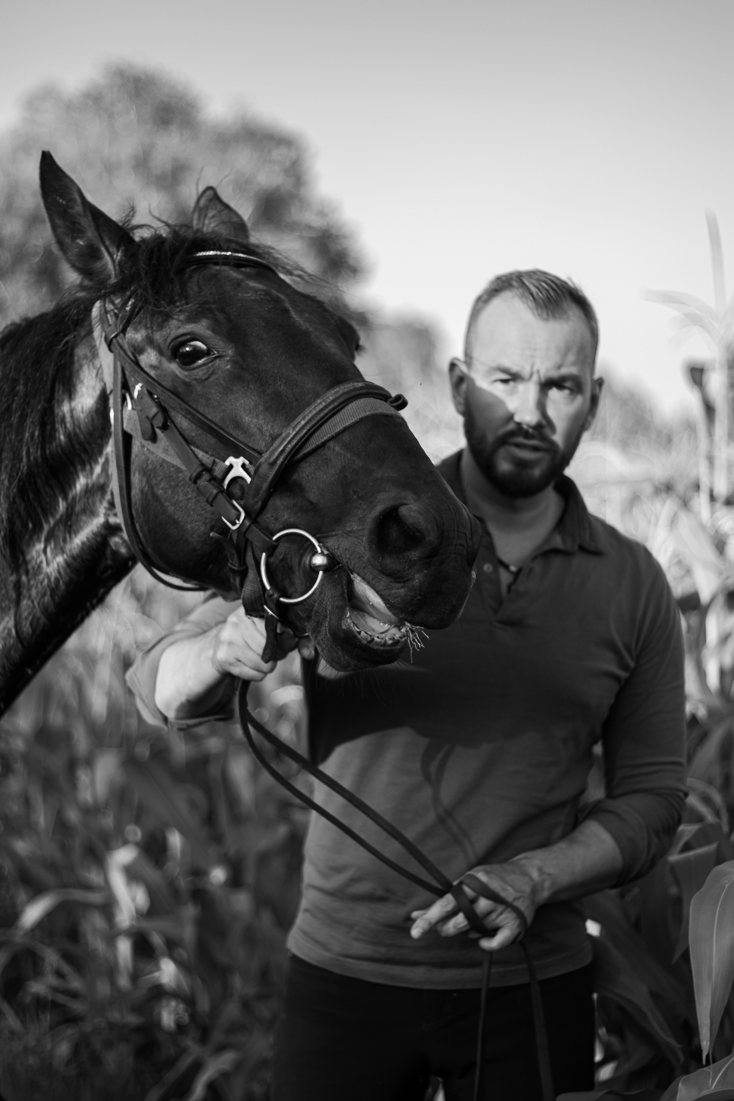 Александр Борматов и Пегас. Фотосессии с лошадьми в Москве, Новосибирске
