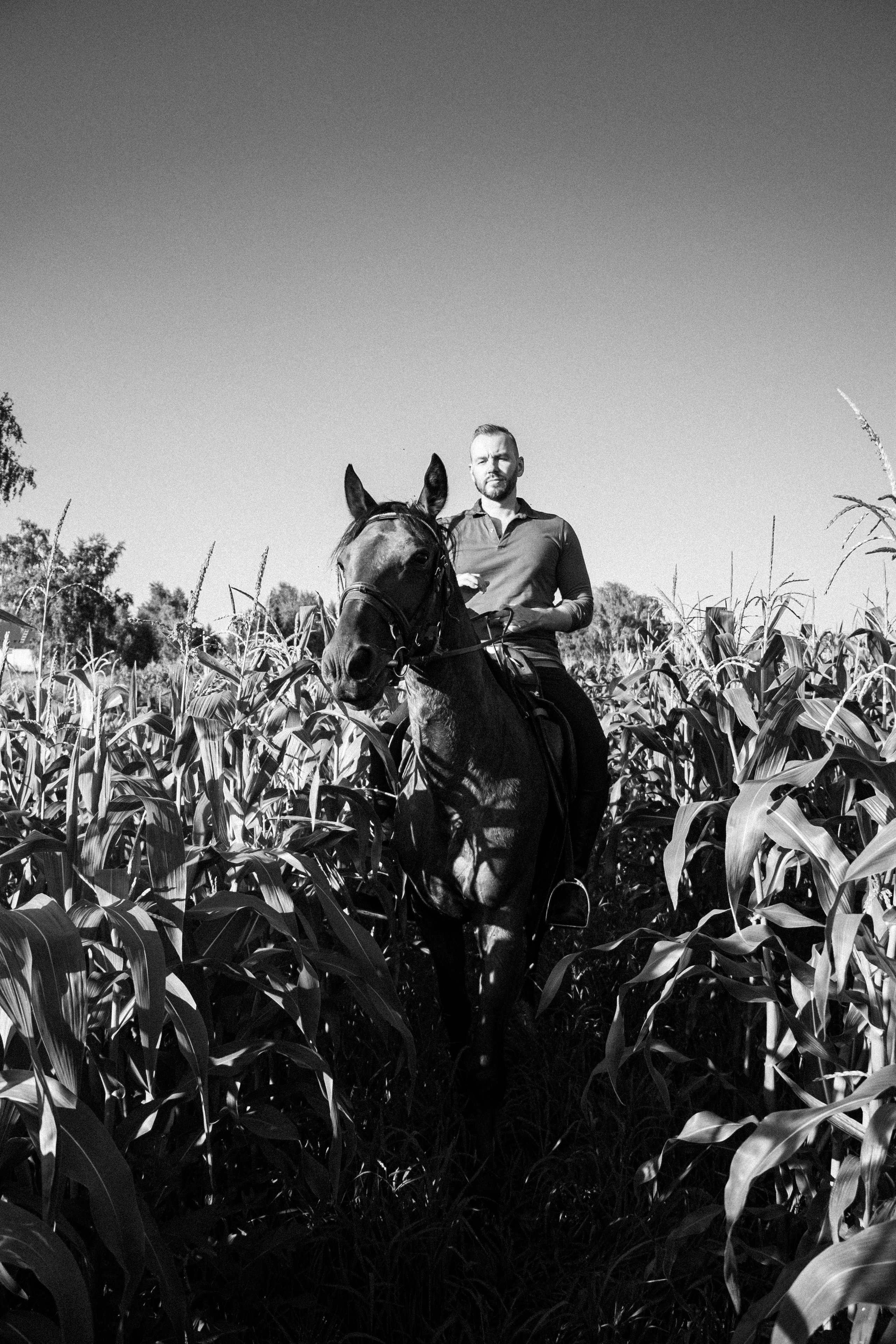 Александр Борматов и Пегас. Фотосессии с лошадьми в Москве, Новосибирске