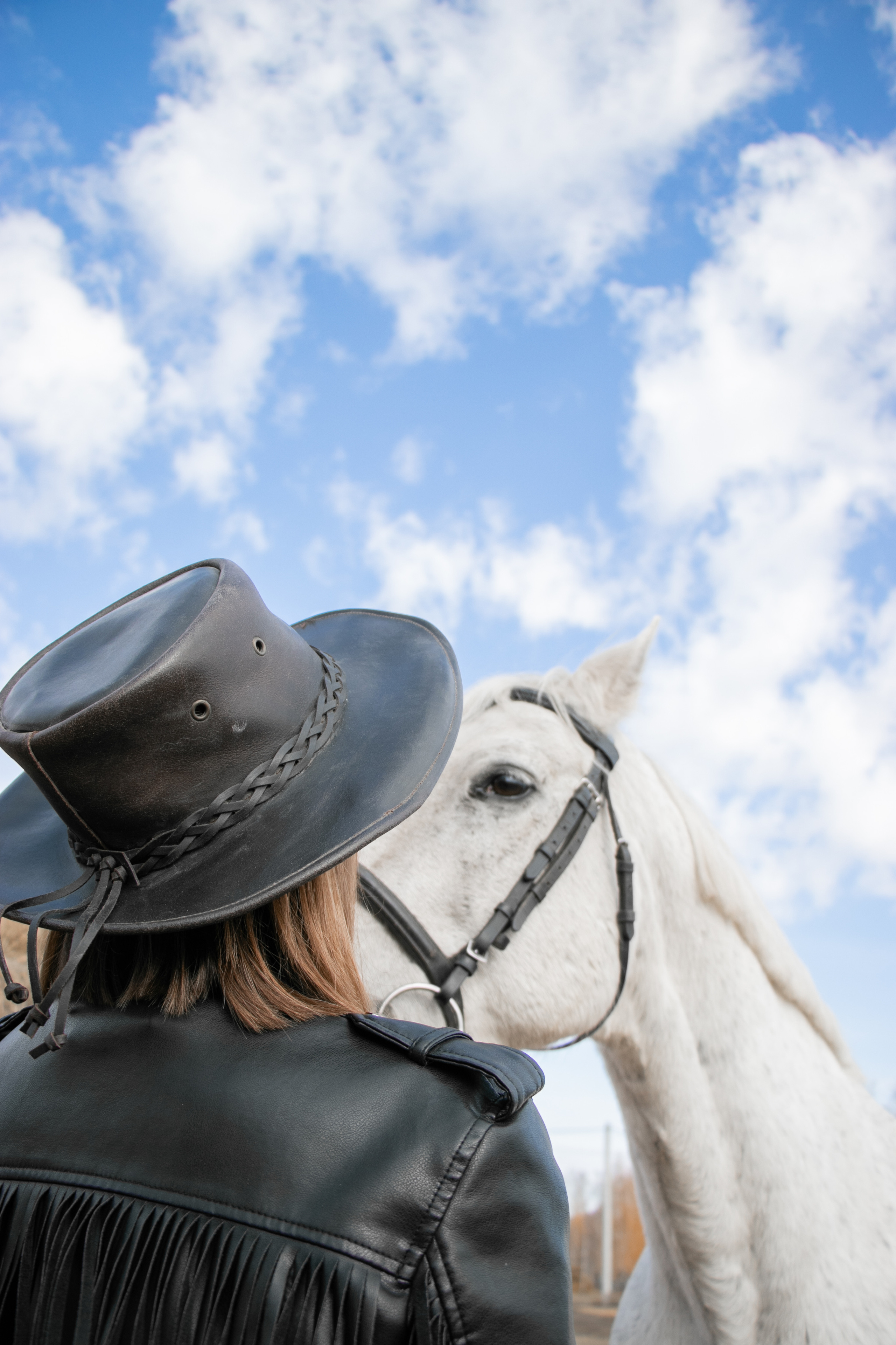 Олеся Гарченко и Пепел. Фотосессии с лошадьми в Москве, Новосибирске