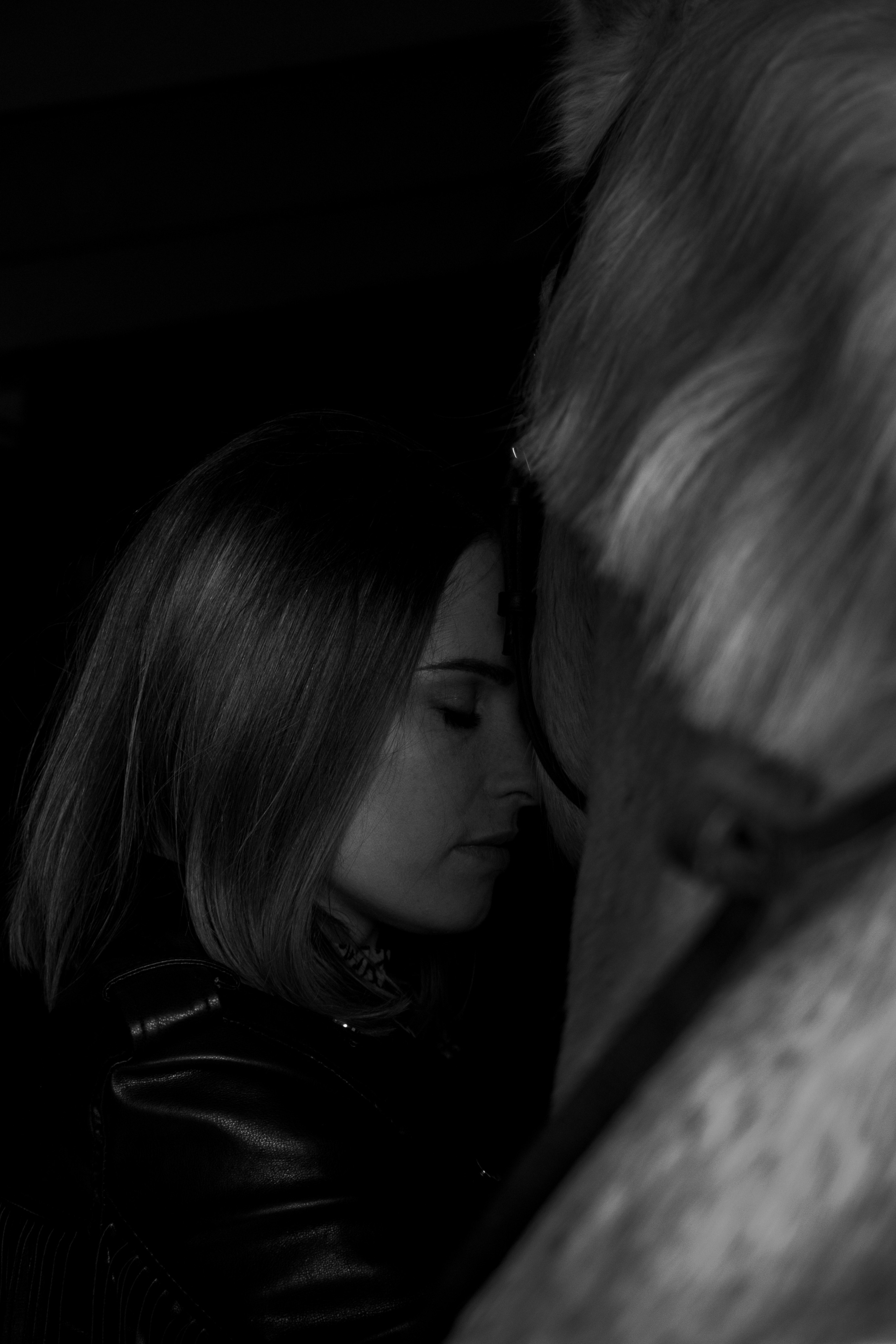 Олеся Гарченко и Пепел. Фотосессии с лошадьми в Москве, Новосибирске