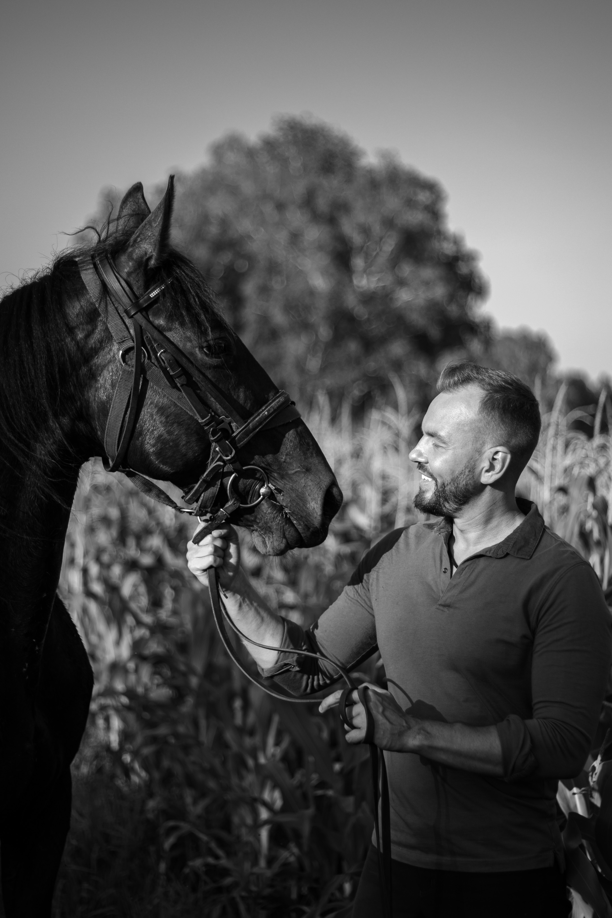 Александр Борматов и Пегас. Фотосессии с лошадьми в Москве, Новосибирске