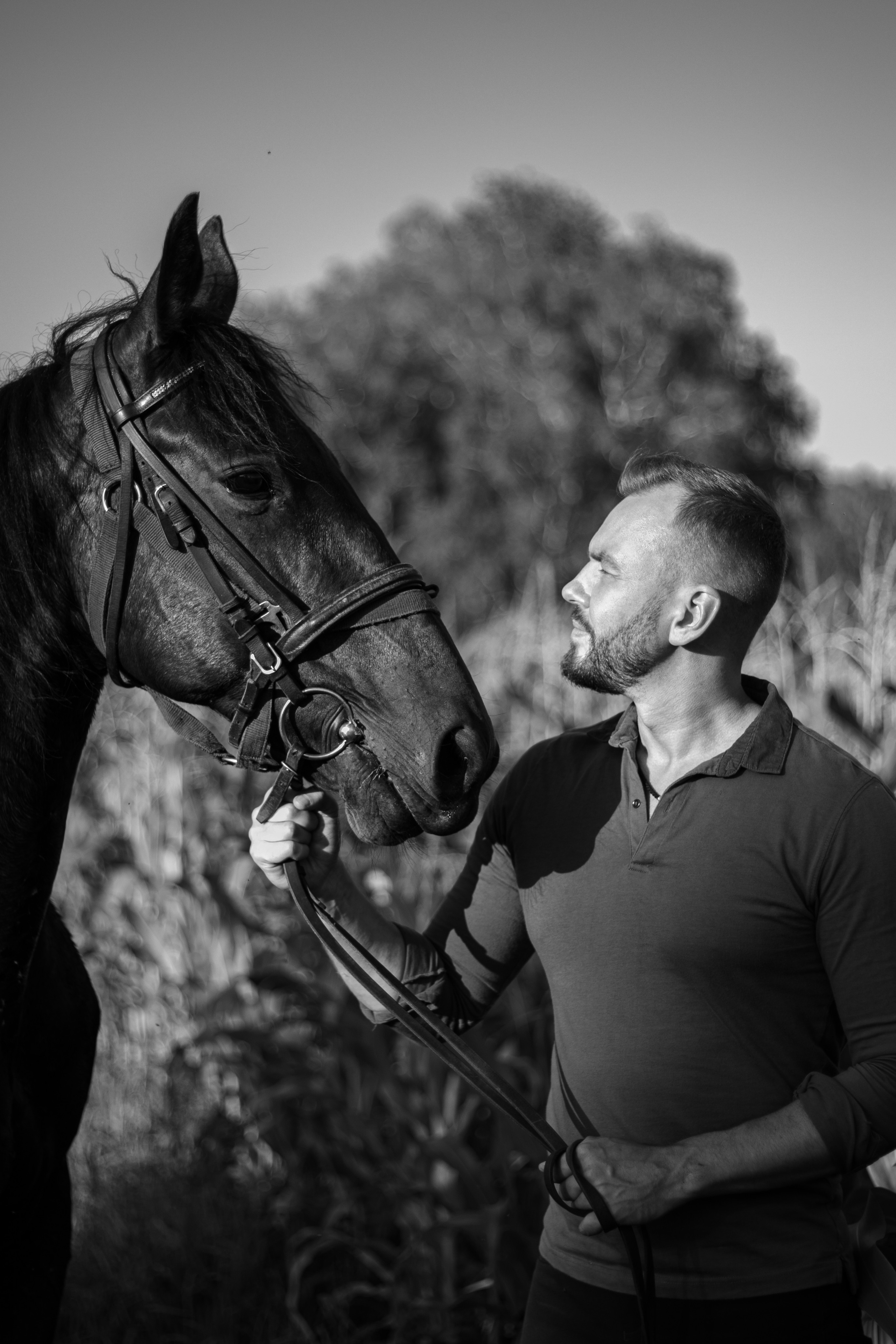 Александр Борматов и Пегас. Фотосессии с лошадьми в Москве, Новосибирске