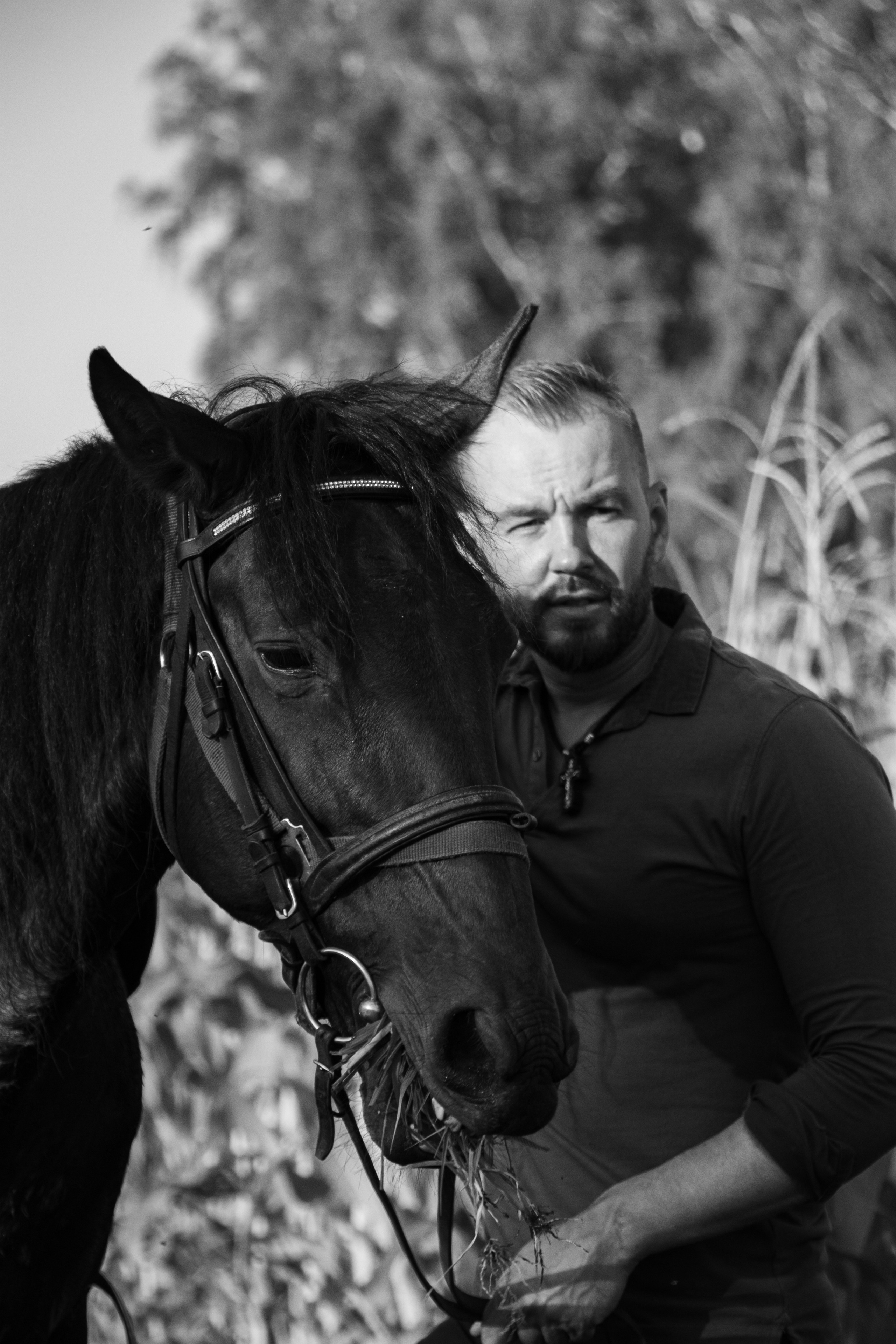 Александр Борматов и Пегас. Фотосессии с лошадьми в Москве, Новосибирске