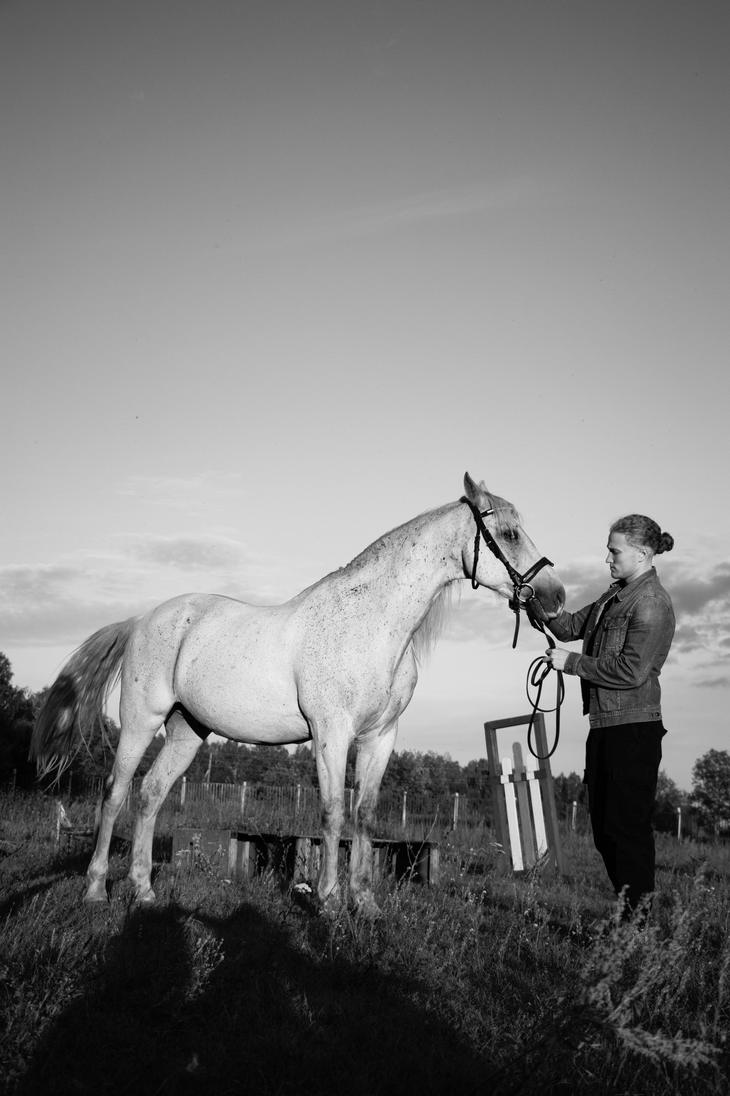Максим и Пепел. Фотосессии с лошадьми в Москве, Новосибирске