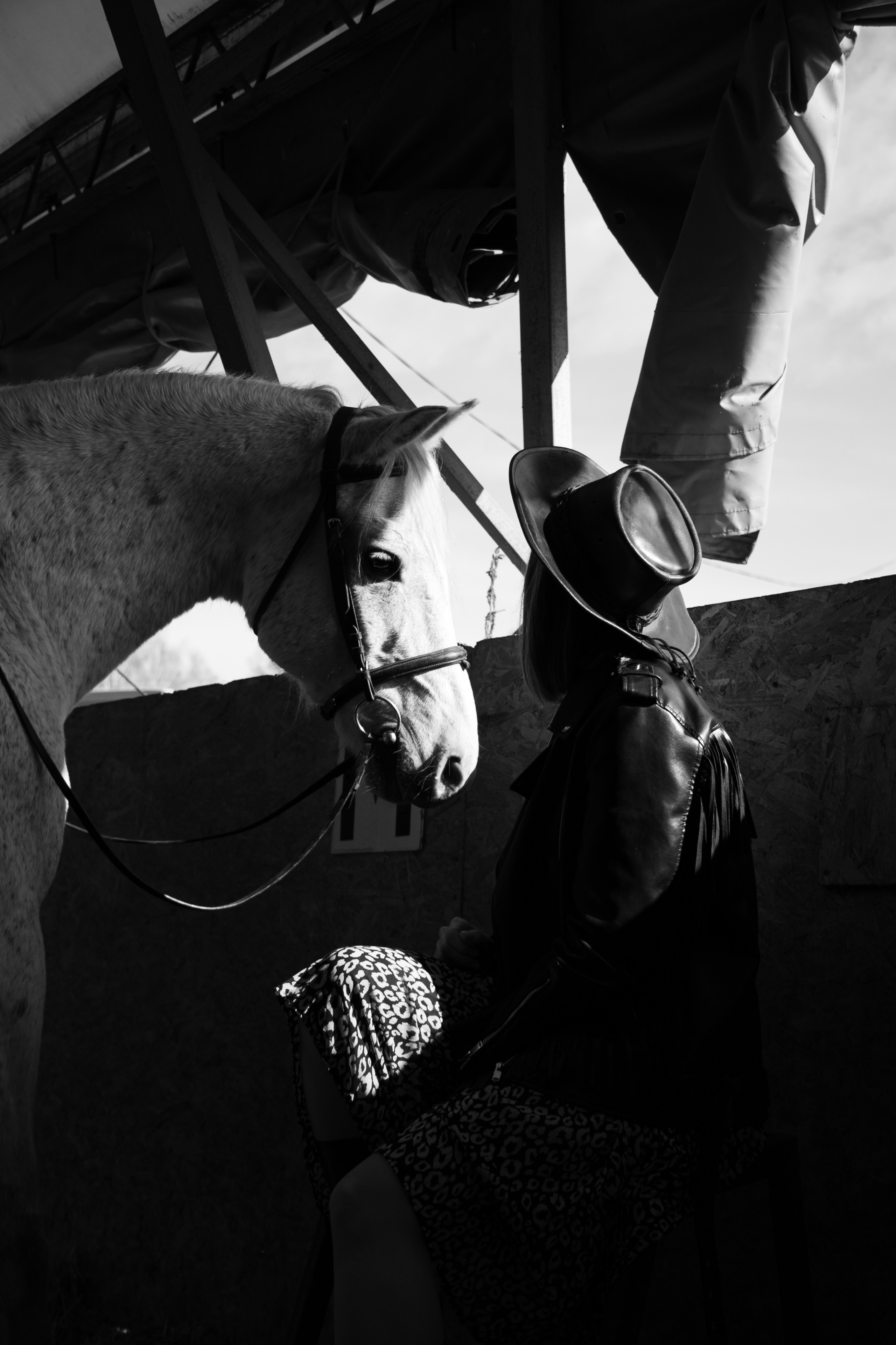 Олеся Гарченко и Пепел. Фотосессии с лошадьми в Москве, Новосибирске
