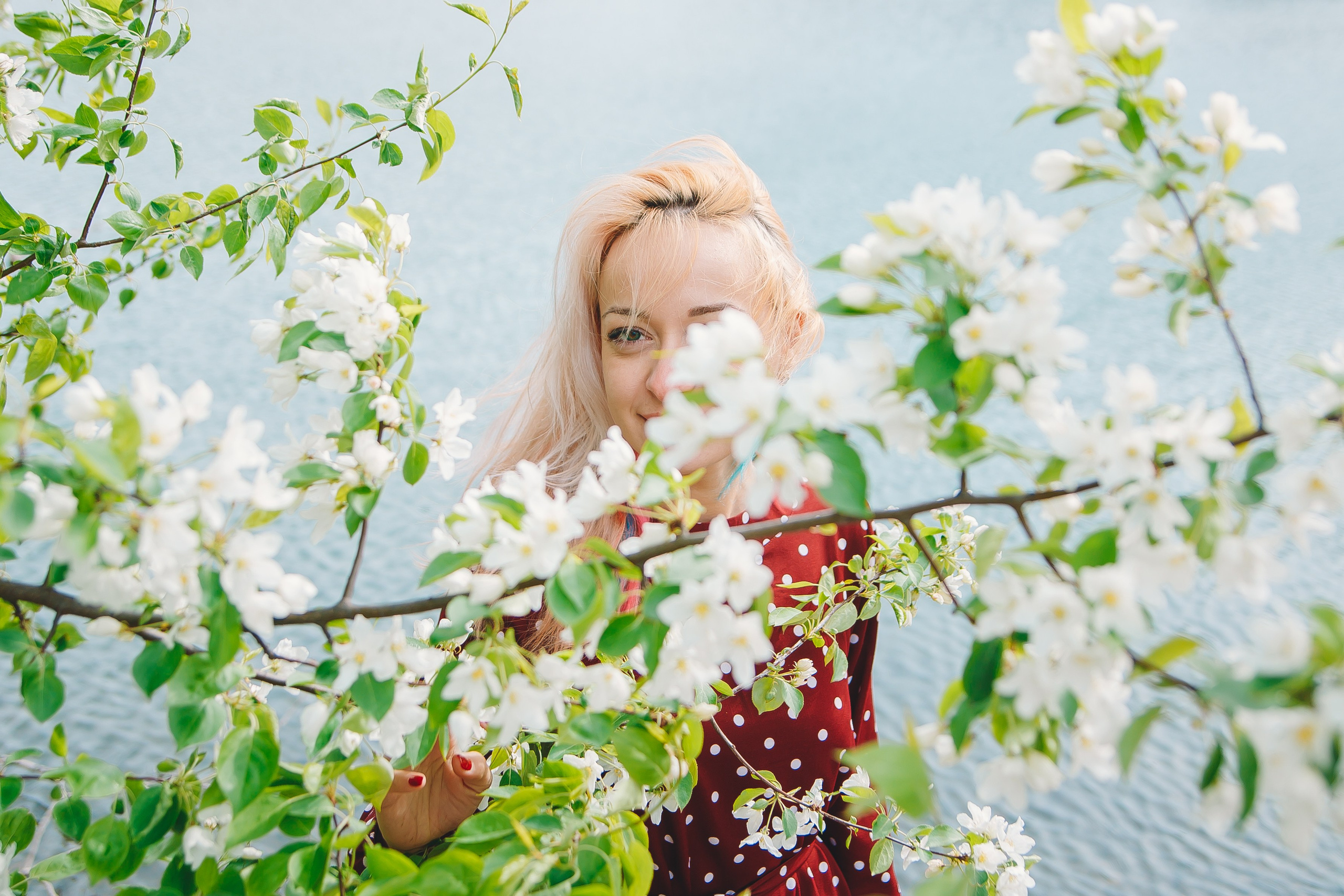 Яблони. Фотограф в Абакане Николай Окунев