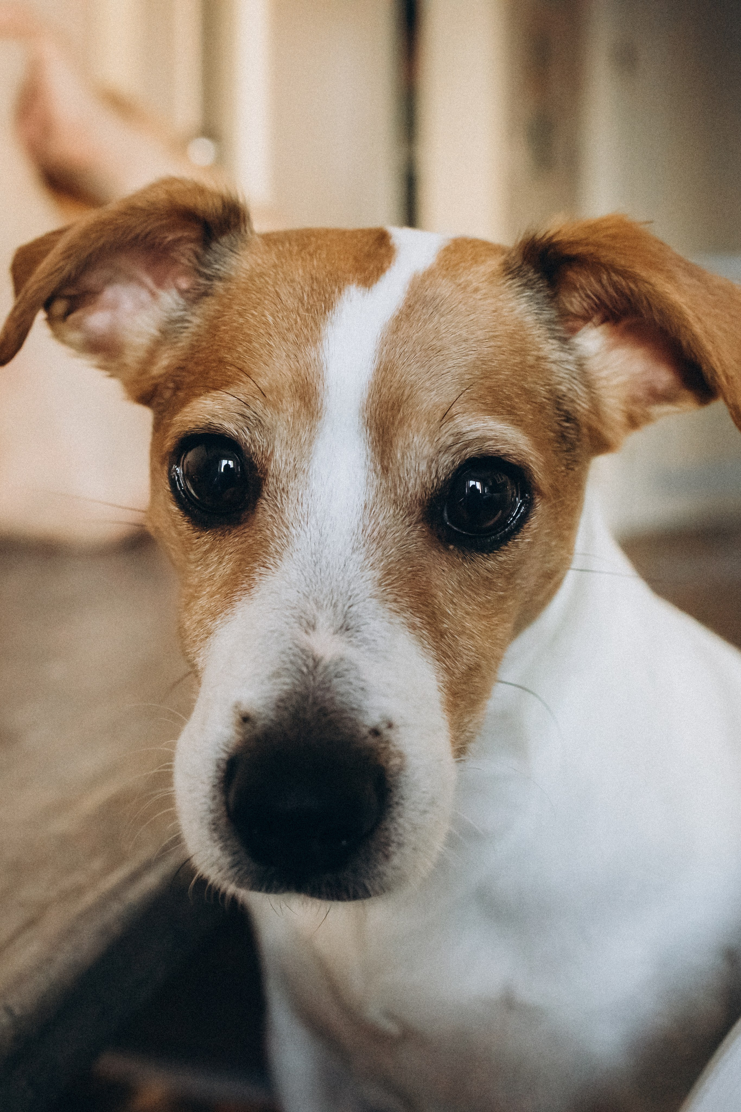 GOOD AT HOME. Фотограф Наталья Карякина|Челябинск