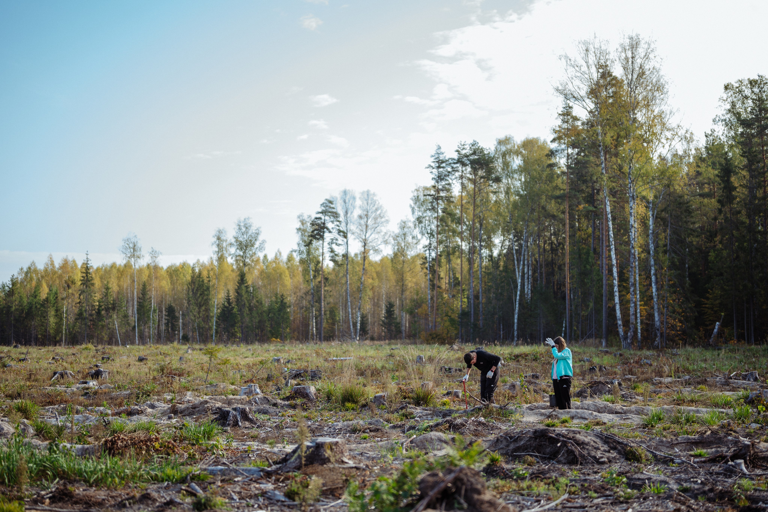 СБЕР · ЭКА · Посадка сеянцев. Владимир Вершинин, тот самый свадебный видеограф