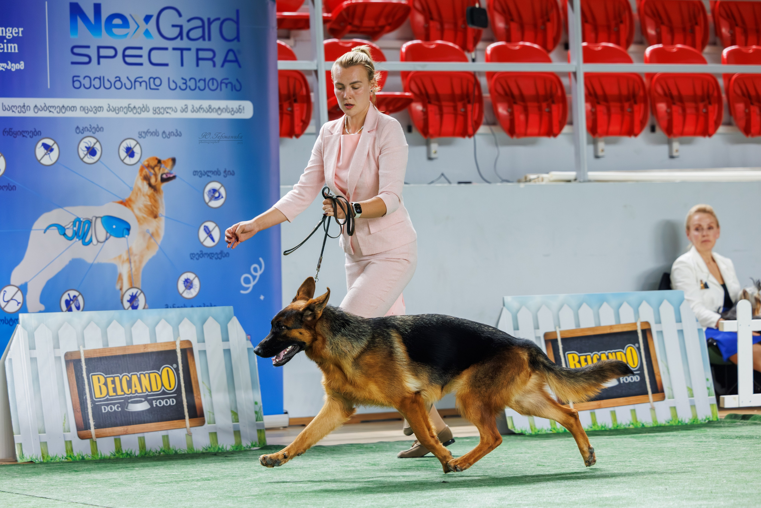 Телави 11-12.10.2025. Фотограф-анималист Юлия Германика