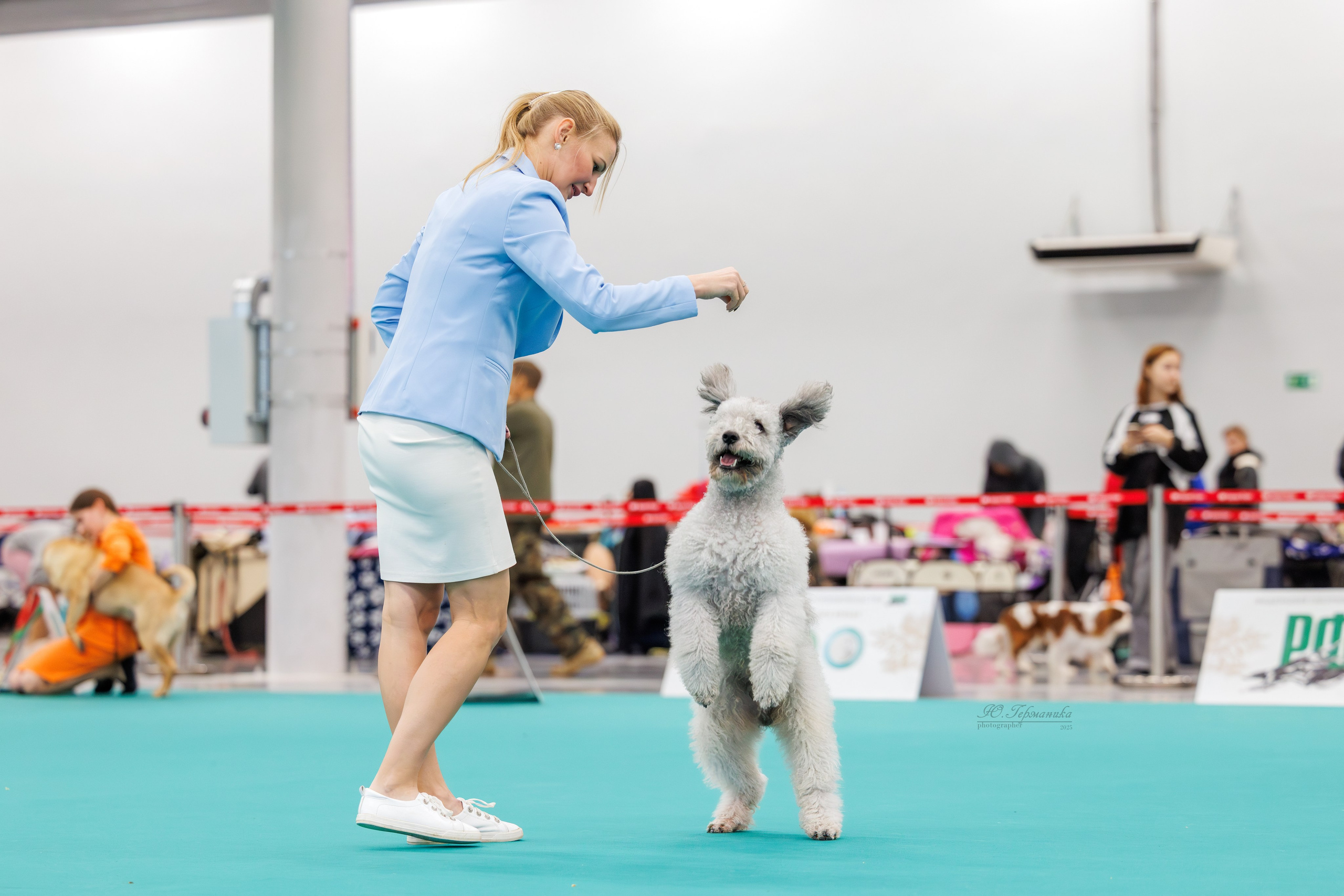 Зилант Казань 29-30.11.2025. Фотограф-анималист Юлия Германика