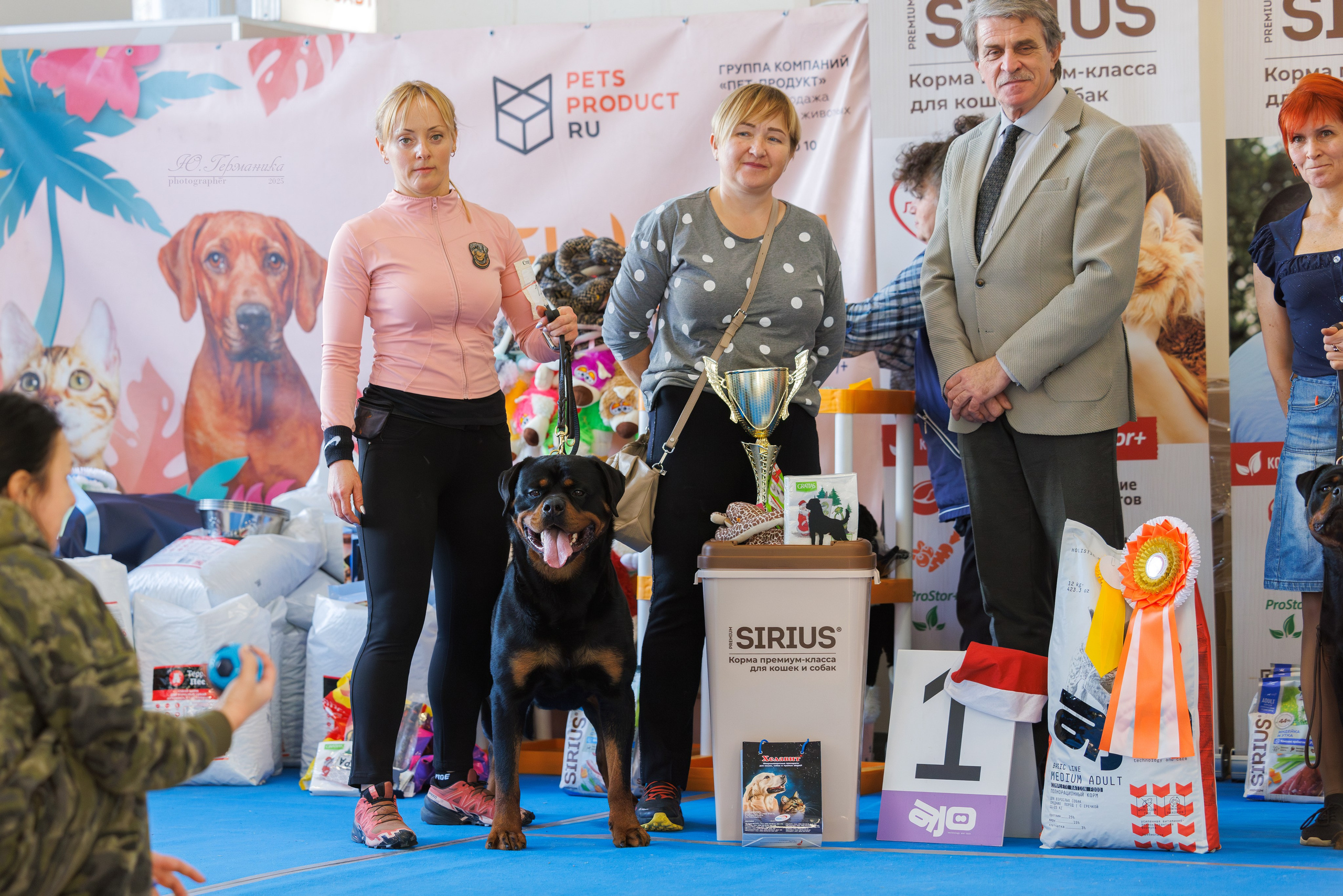 Питер ротвейлеры 18.01,Крокус 19.01.2025. Фотограф-анималист Юлия Германика