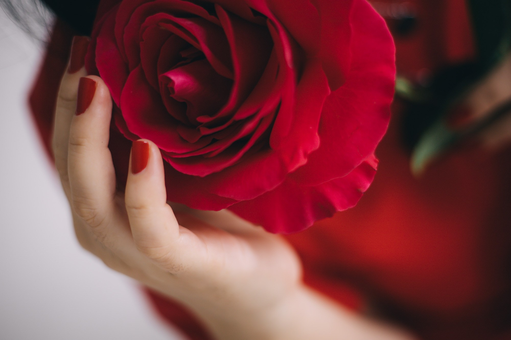 Анна. Фотограф Ростов-на-Дону | фототерапевт