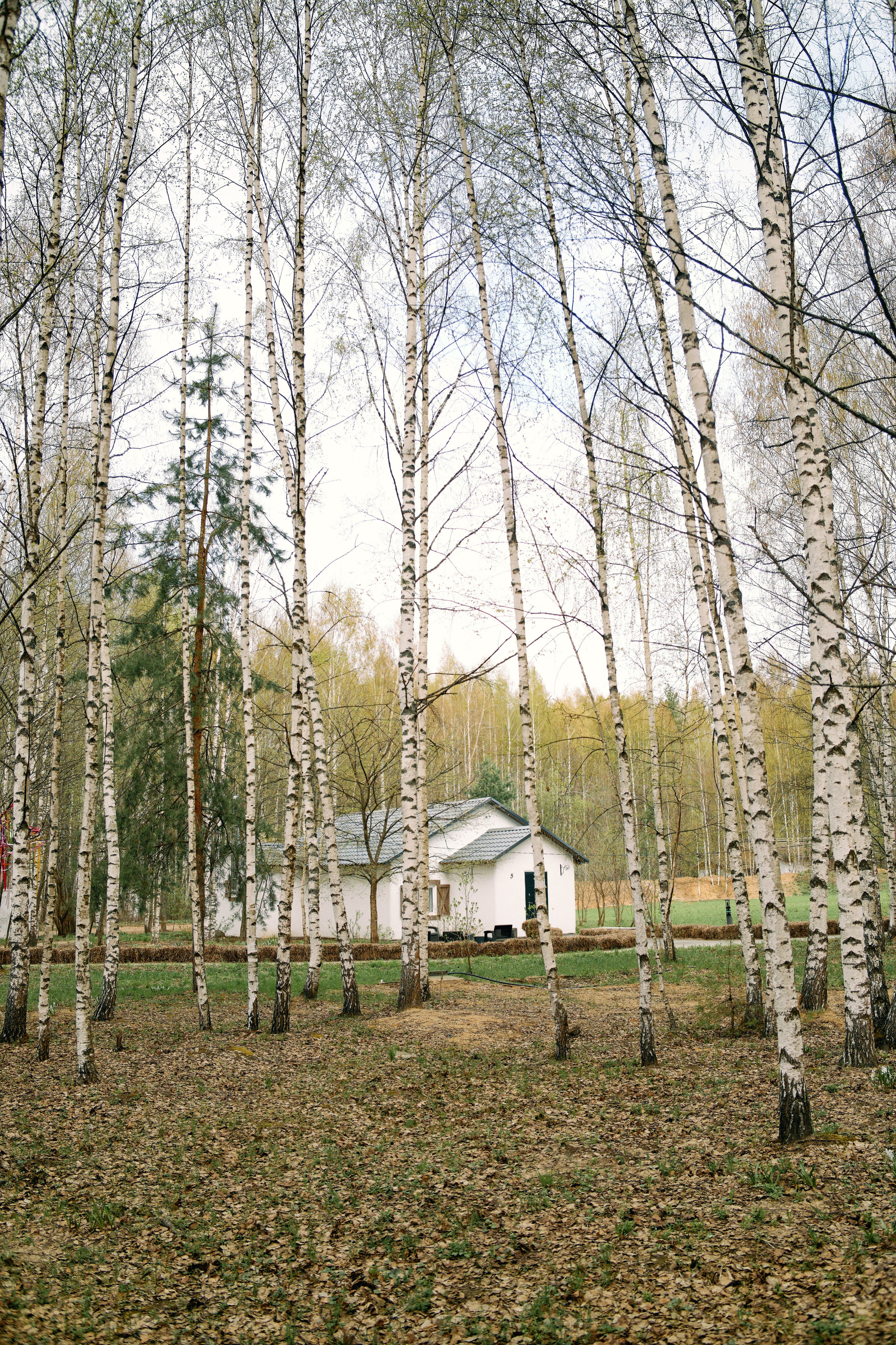 Бутик-отель Поле летом. Профессиональный Фотограф во Владимире, в Москве и в Суздале — Полина Романычева