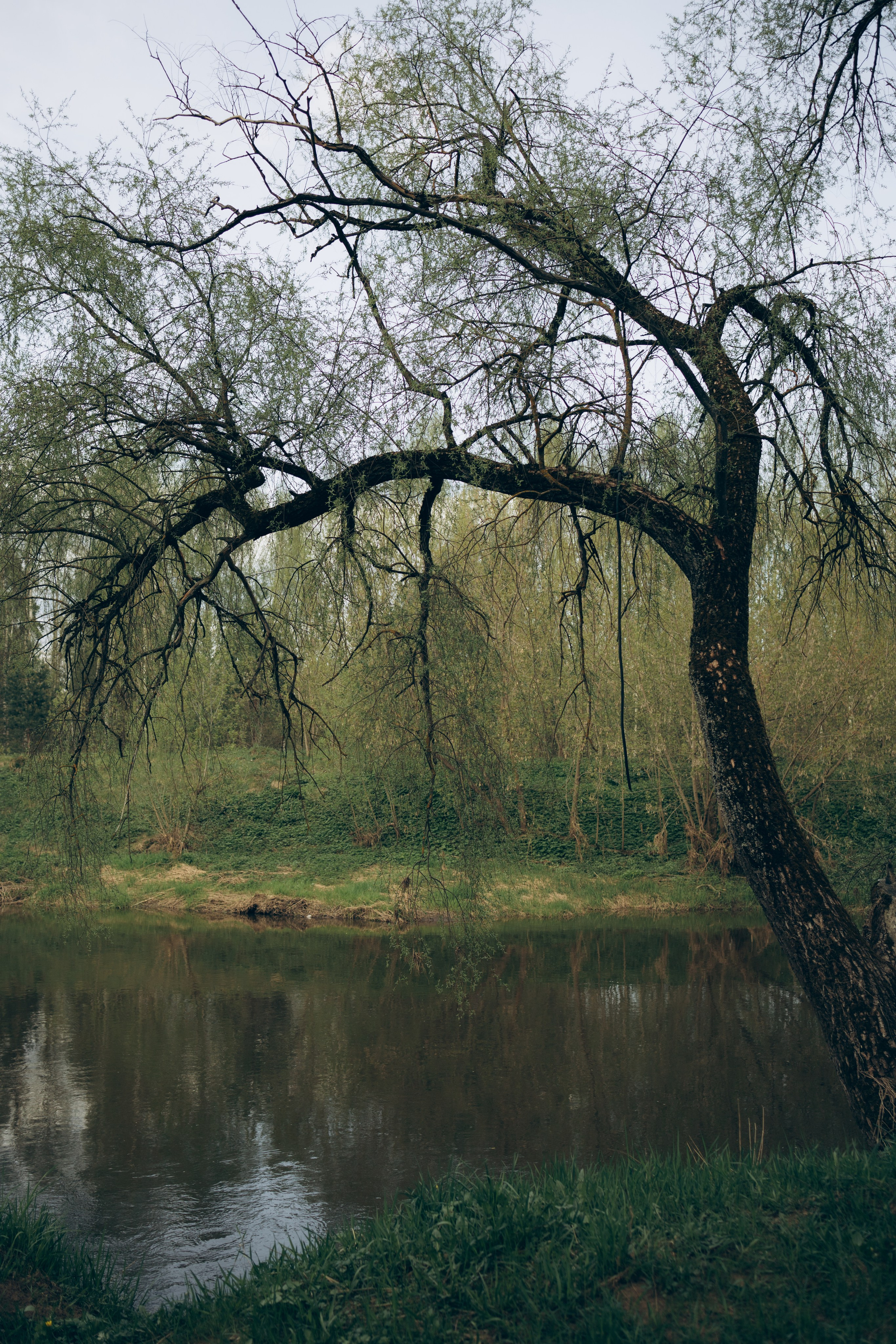 Istra. Женский фотограф Истра