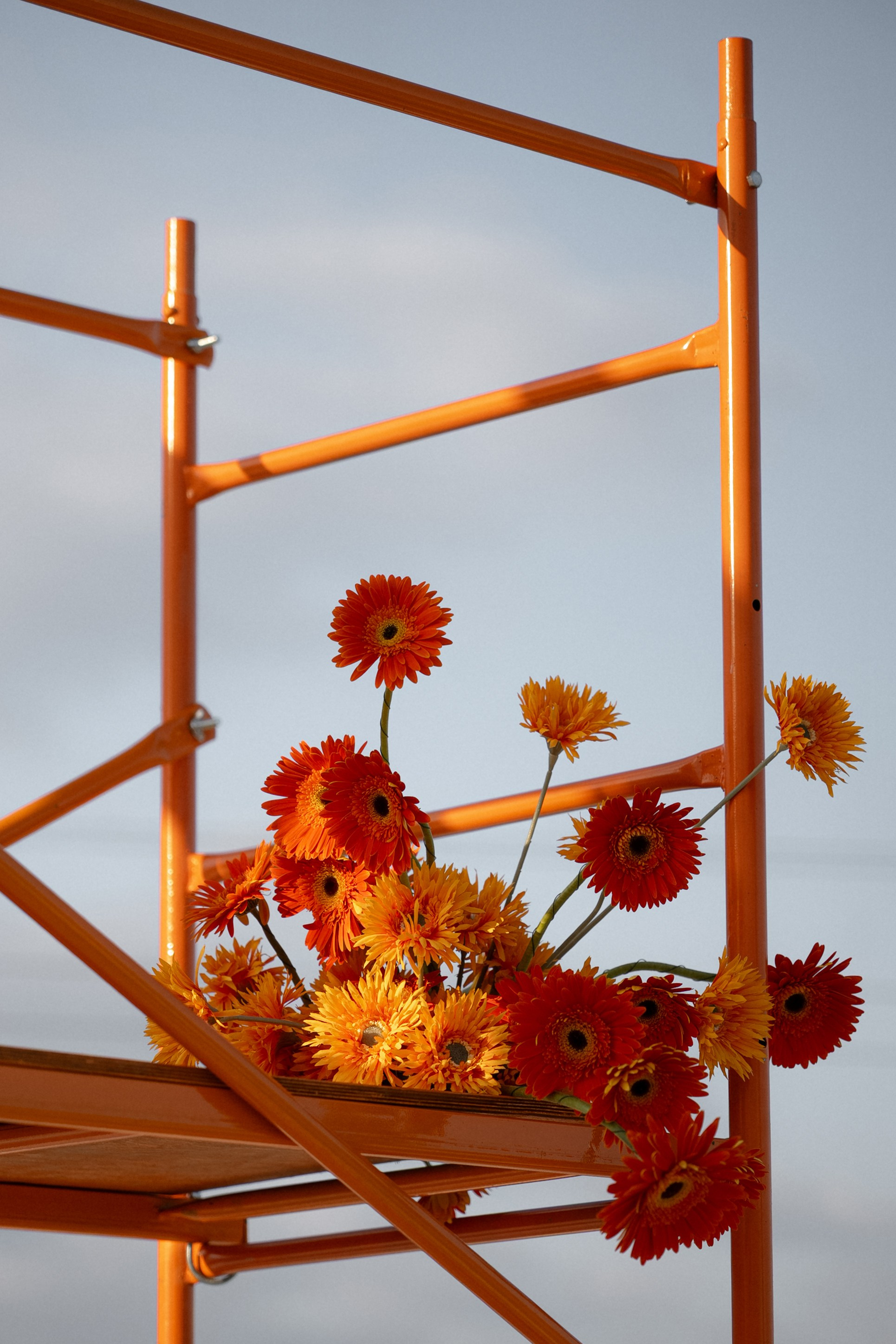 Nika+Alex Anons. Семейный и портретный фотограф в Саратове Сахарова Маша