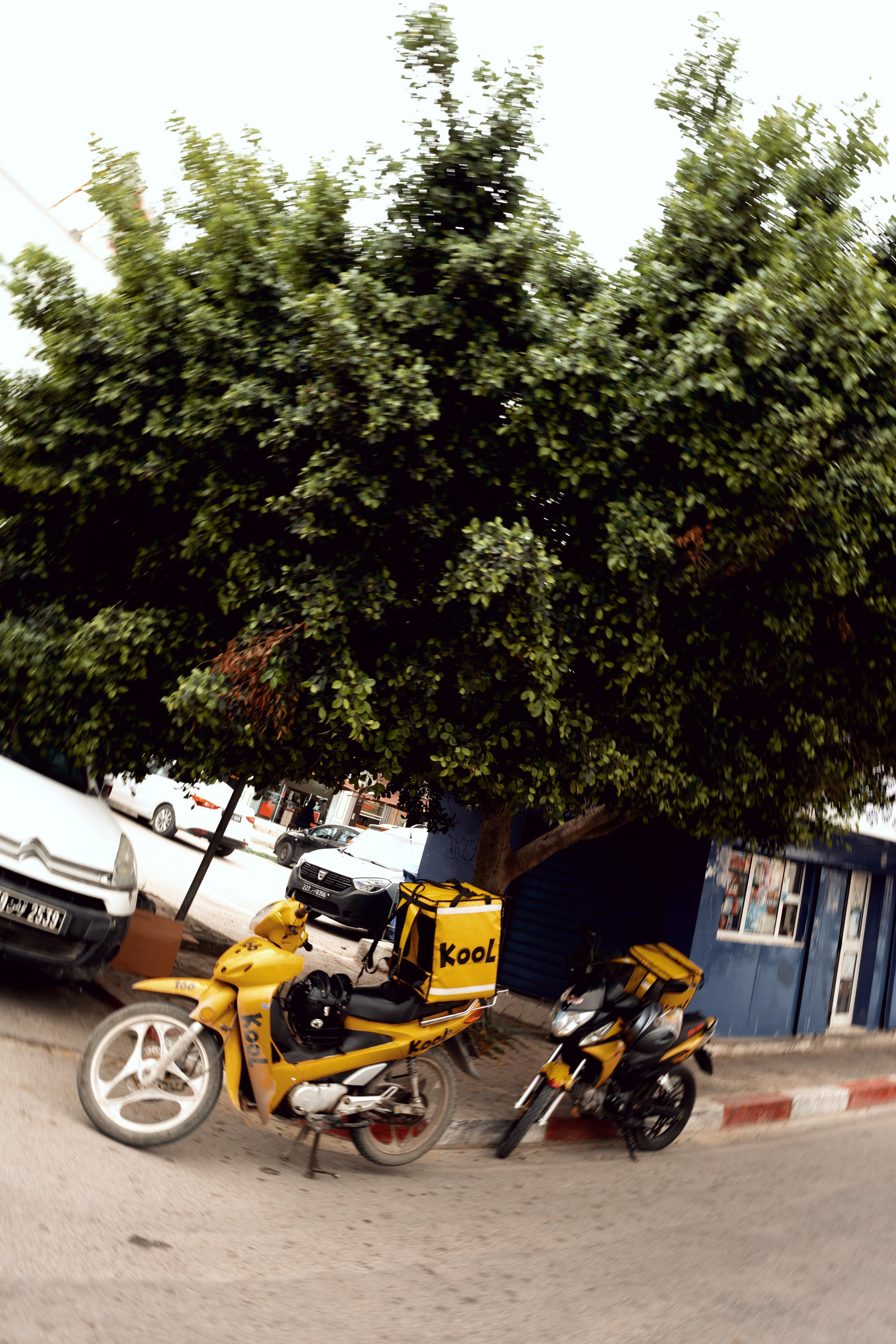 Северная Африка: Тунис, Марокко. Фотограф в Хабаровске. Фотография за 24 часа