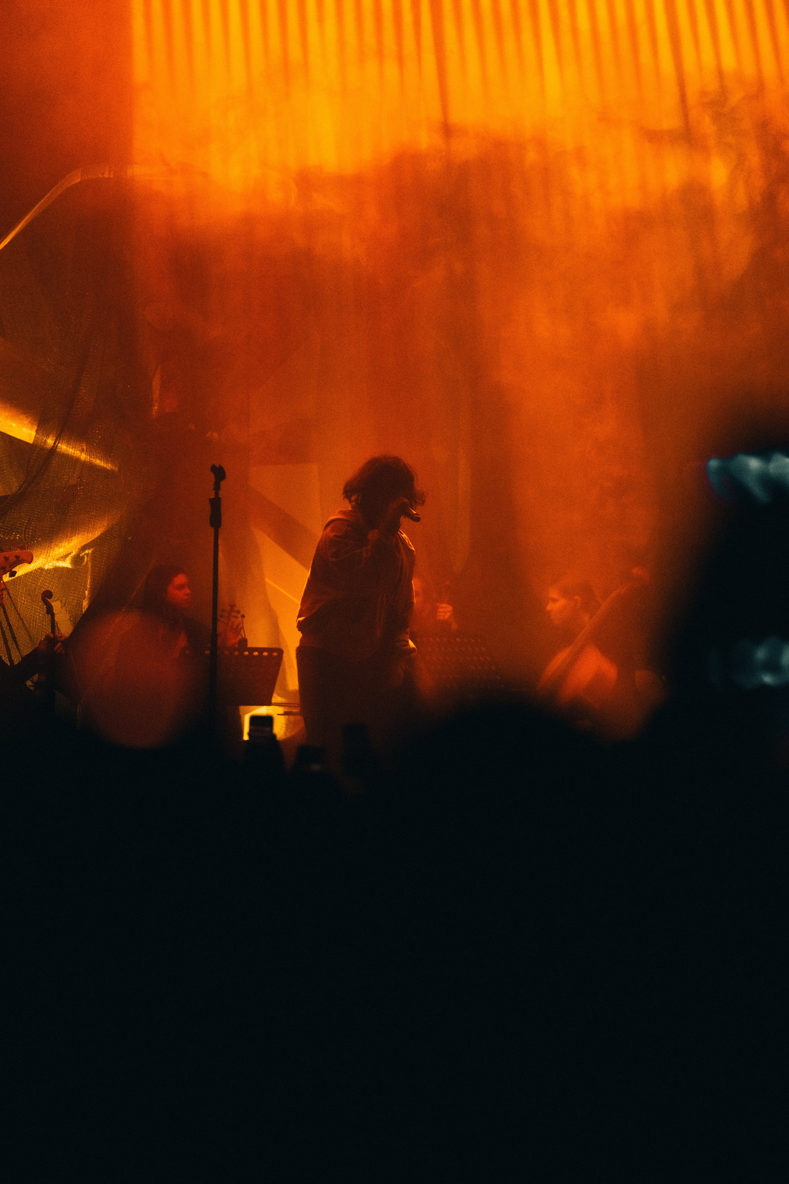 SALUKI. PASHAHARCE PHOTOGRAPHER & VIDEOGRAPHER