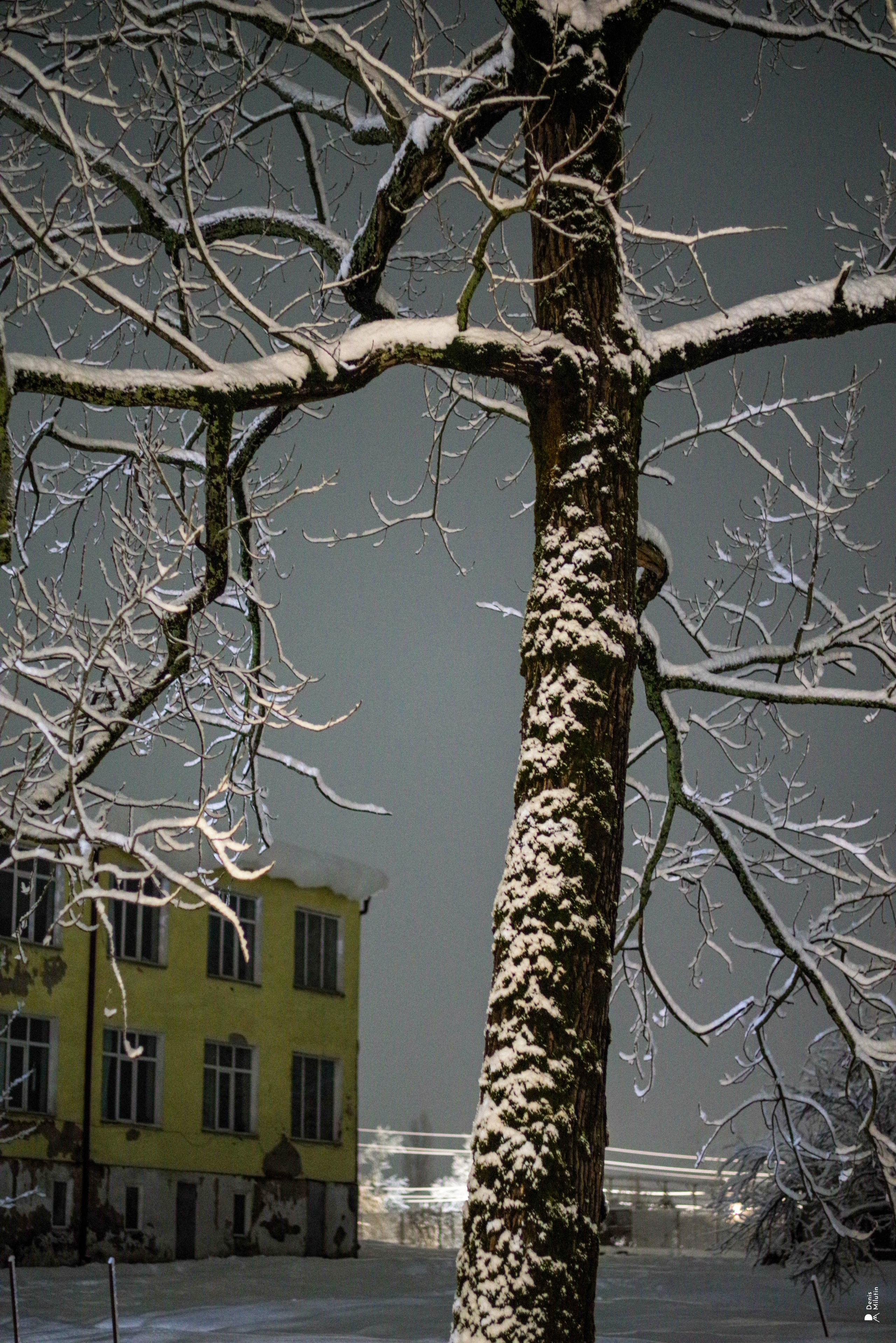 Ночь в Менджи. Портретный фотограф Денис Милютин
