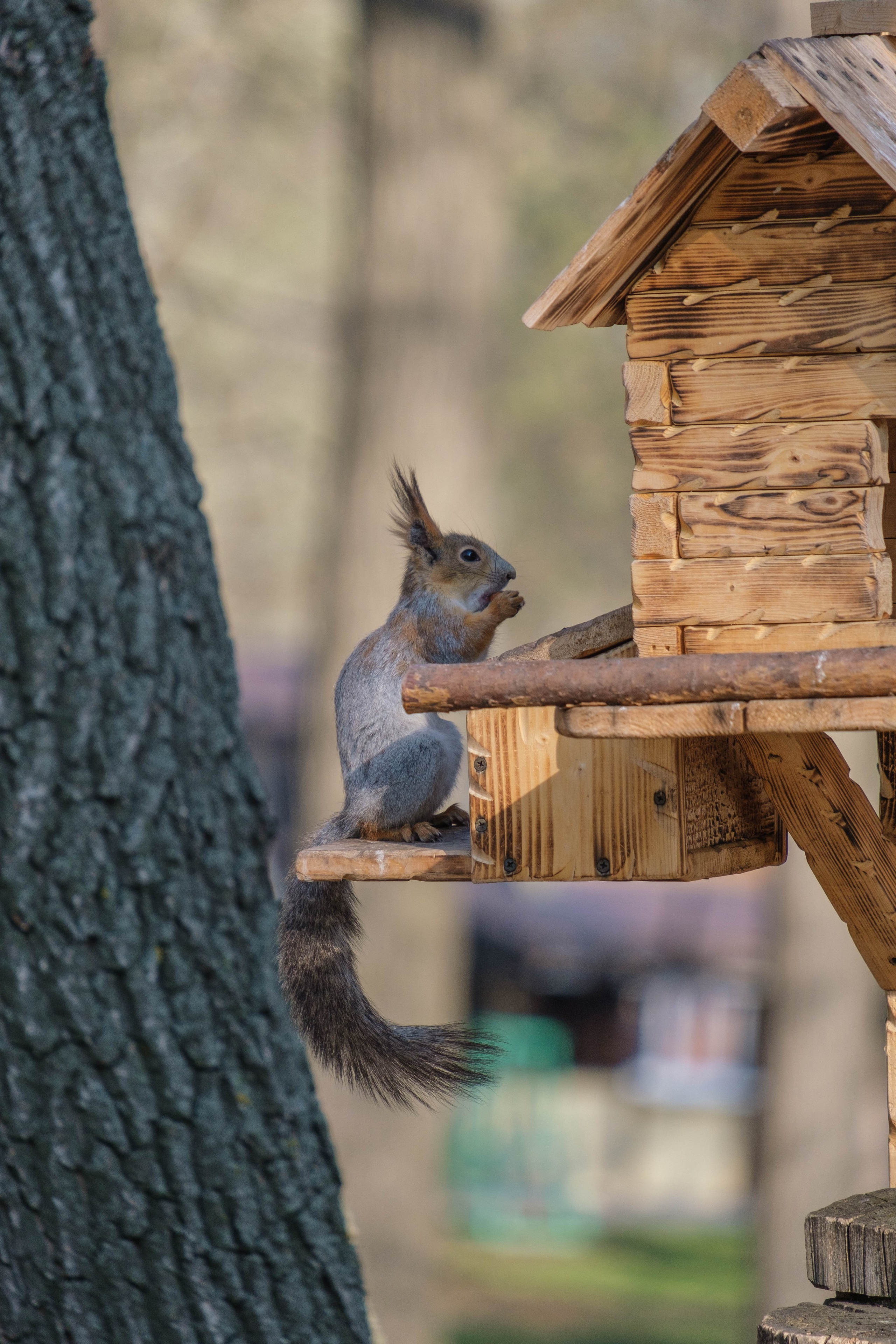 5 вёрст. Фотограф Диана Иремадзе