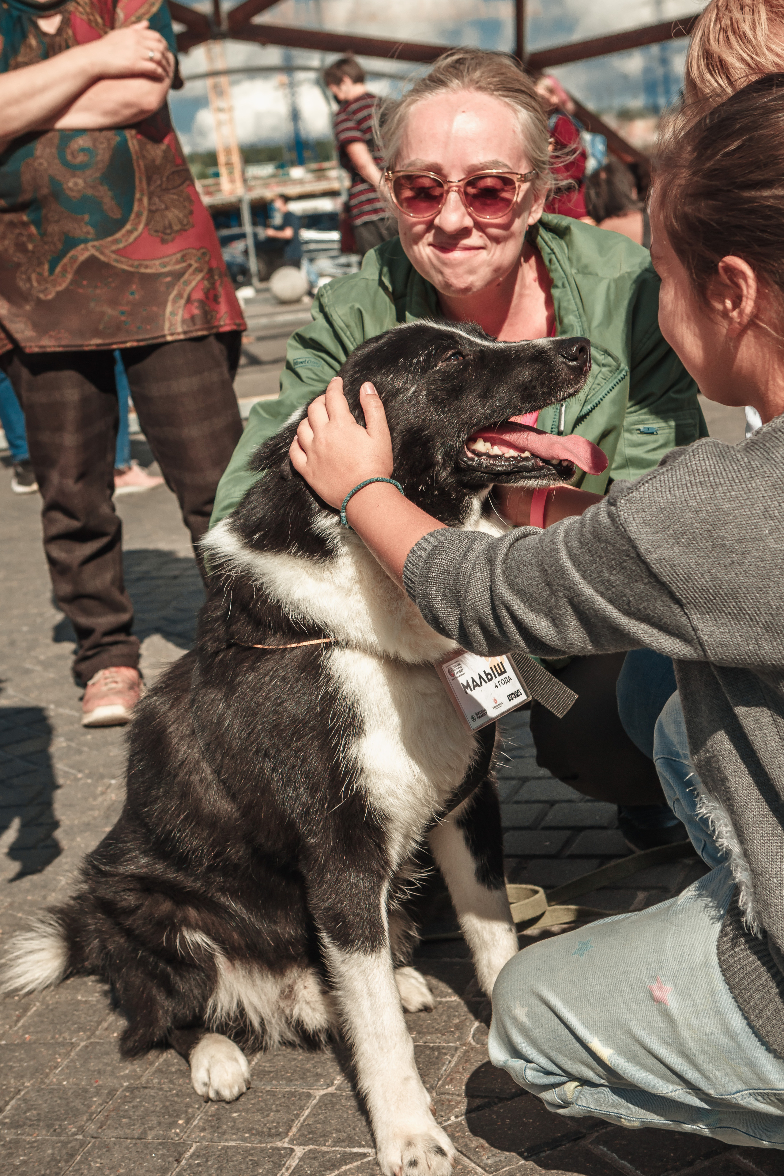 Собаки, которые любят. Фотограф Николь Фолиянц