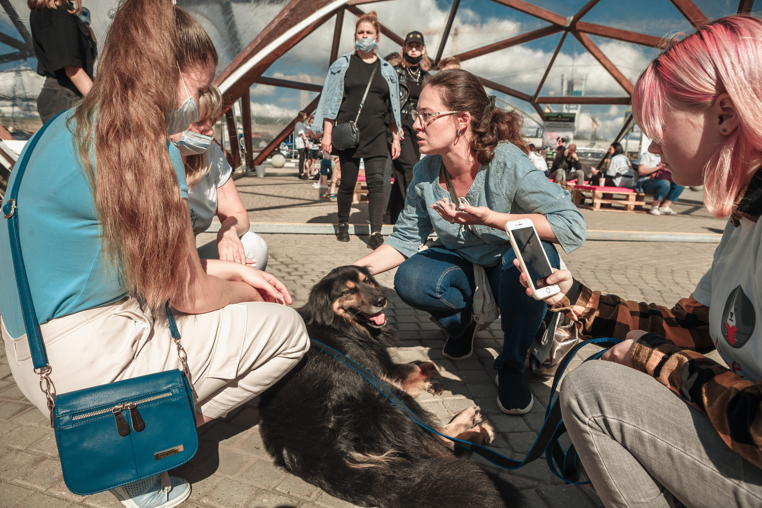 Собаки, которые любят. Фотограф Николь Фолиянц