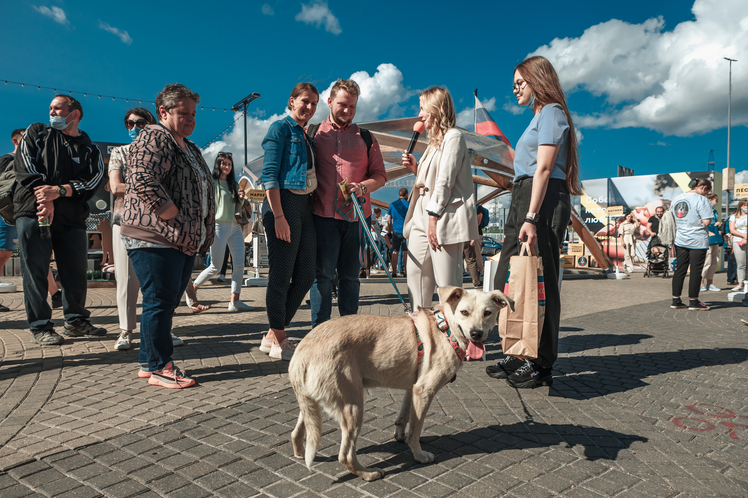 Собаки, которые любят. Фотограф Николь Фолиянц