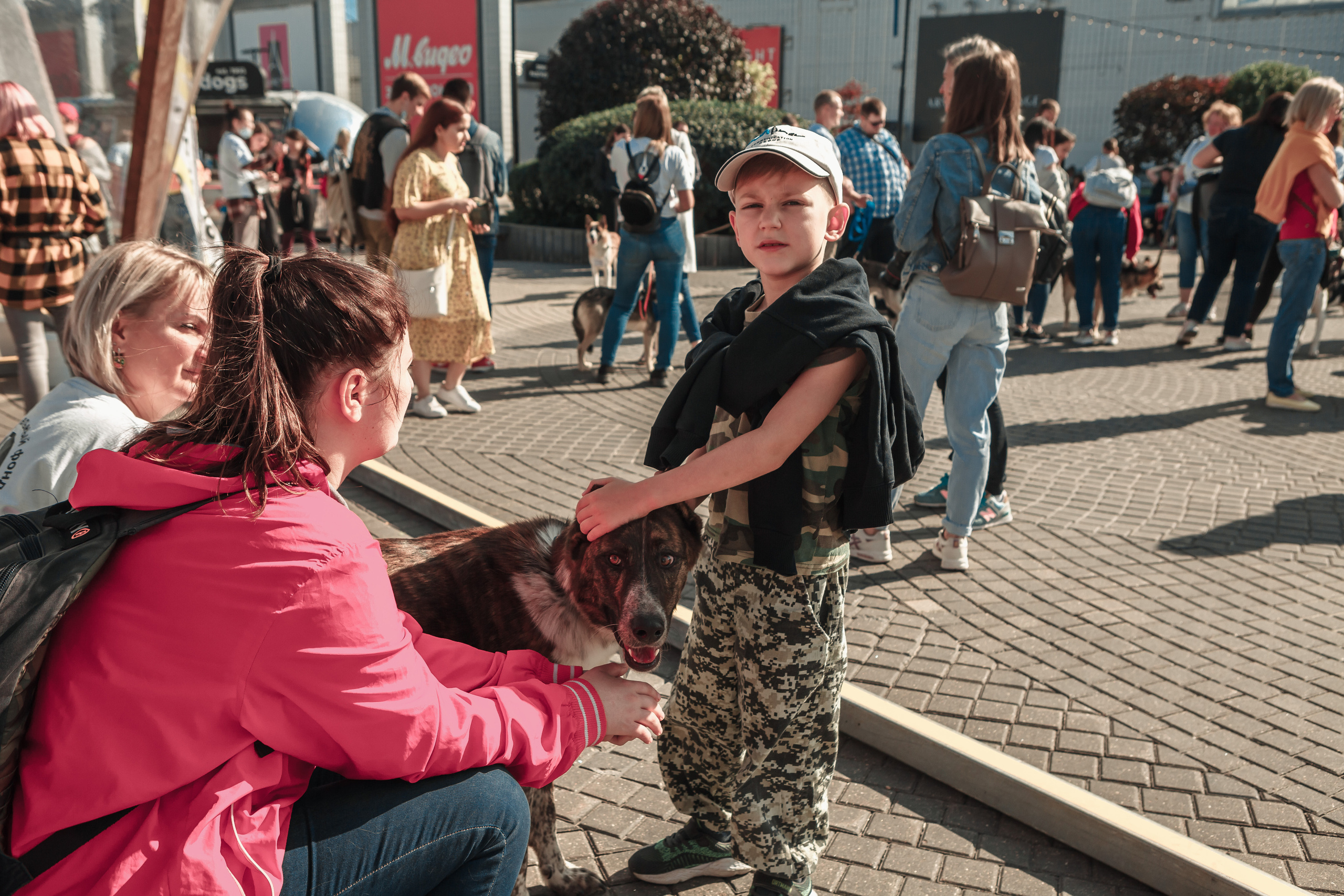 Собаки, которые любят. Фотограф Николь Фолиянц
