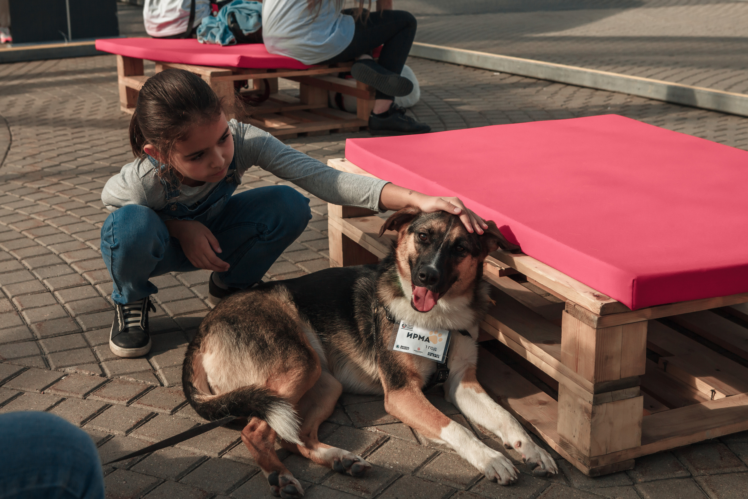 Собаки, которые любят. Фотограф Николь Фолиянц