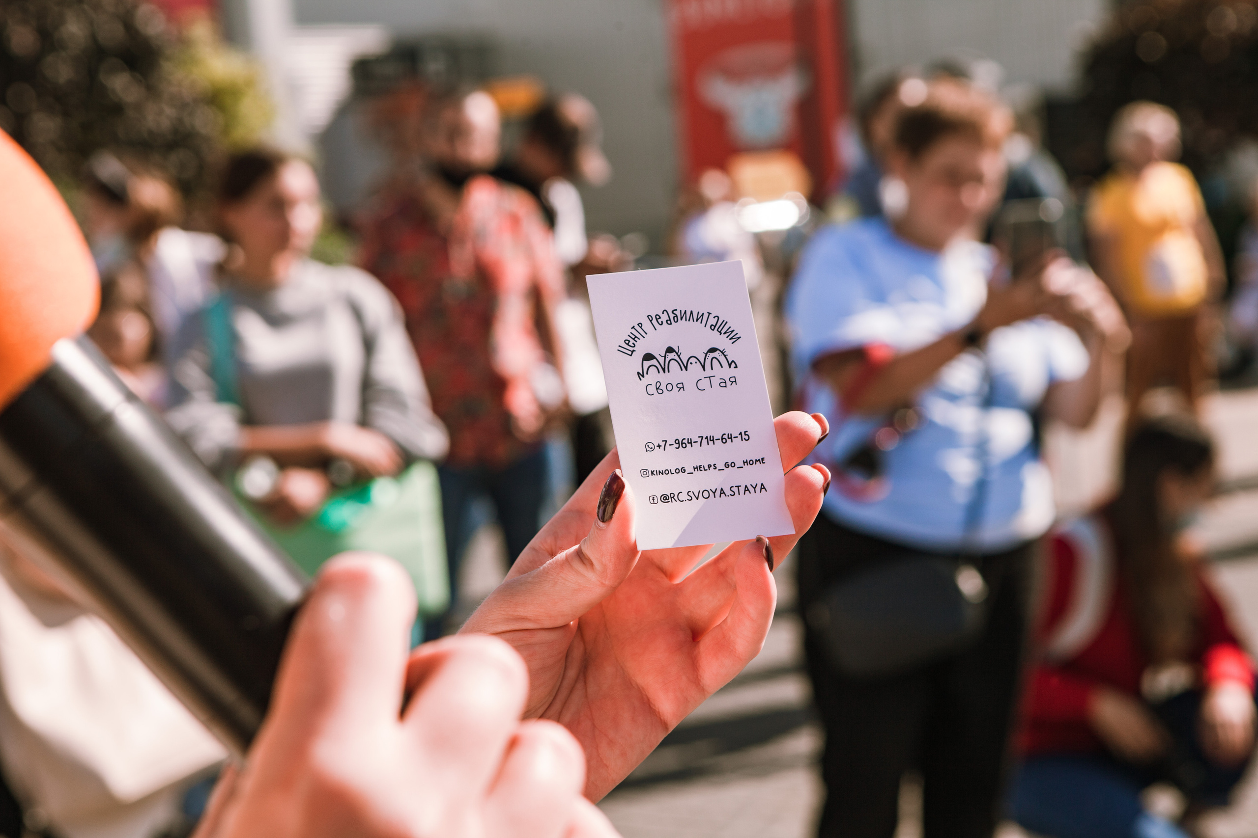 Собаки, которые любят. Фотограф Николь Фолиянц